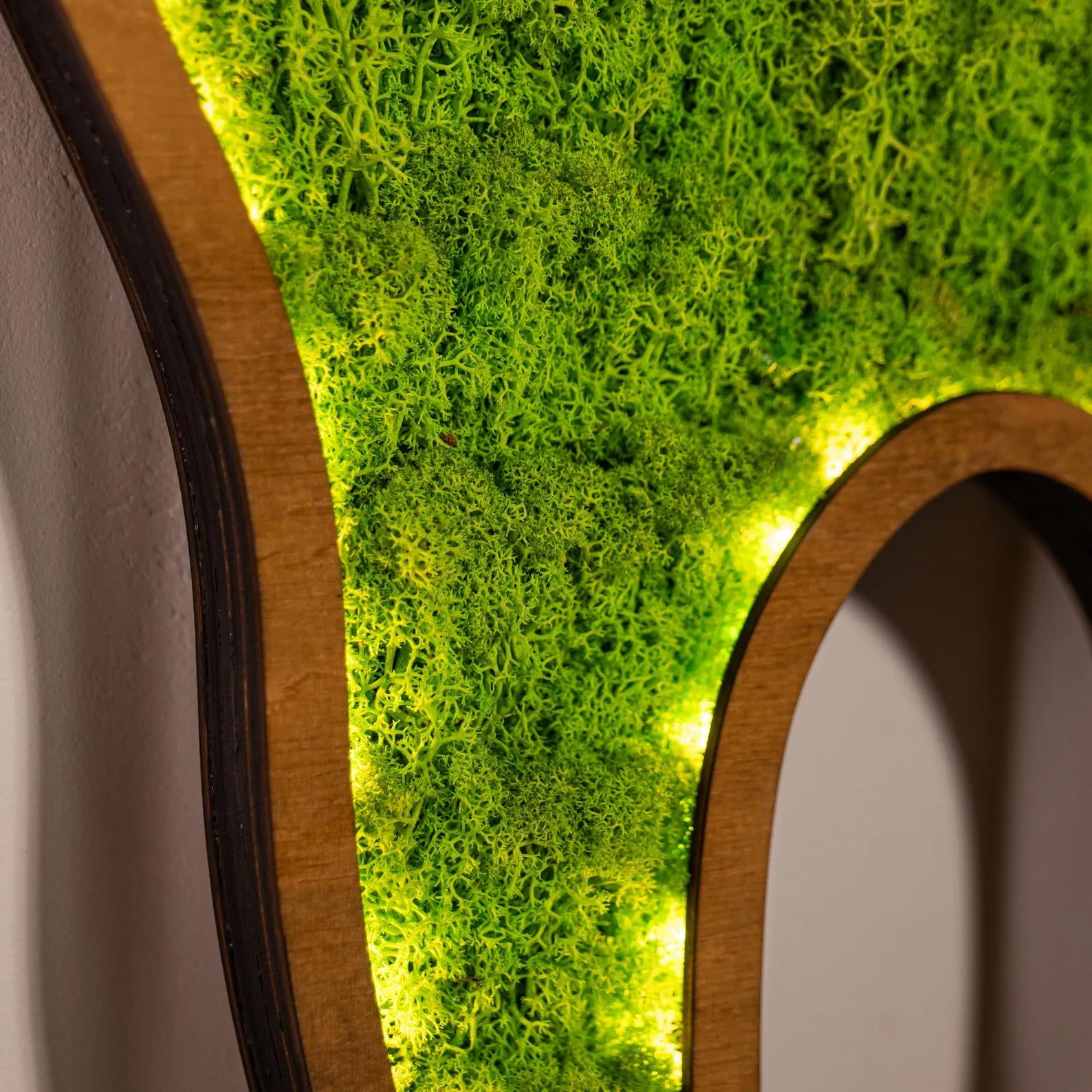 LED Moss Tooth Wall Art – Dental Office Décor, Dentist Gift & Orthodontist Sign