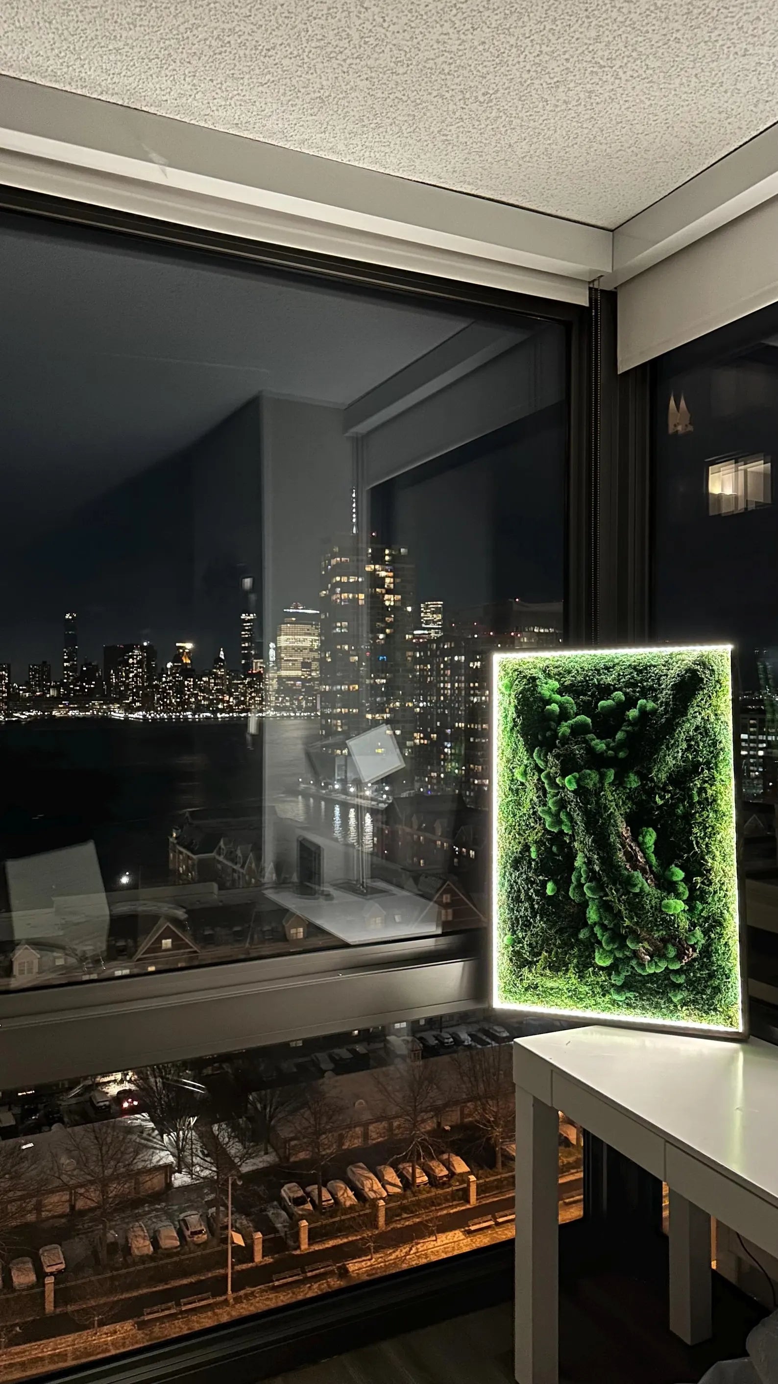 Stabilized Moss Wall Art with Lighting – 50x80 cm Panel, 3 Moss Types & Oak Bark in Cedar Frame