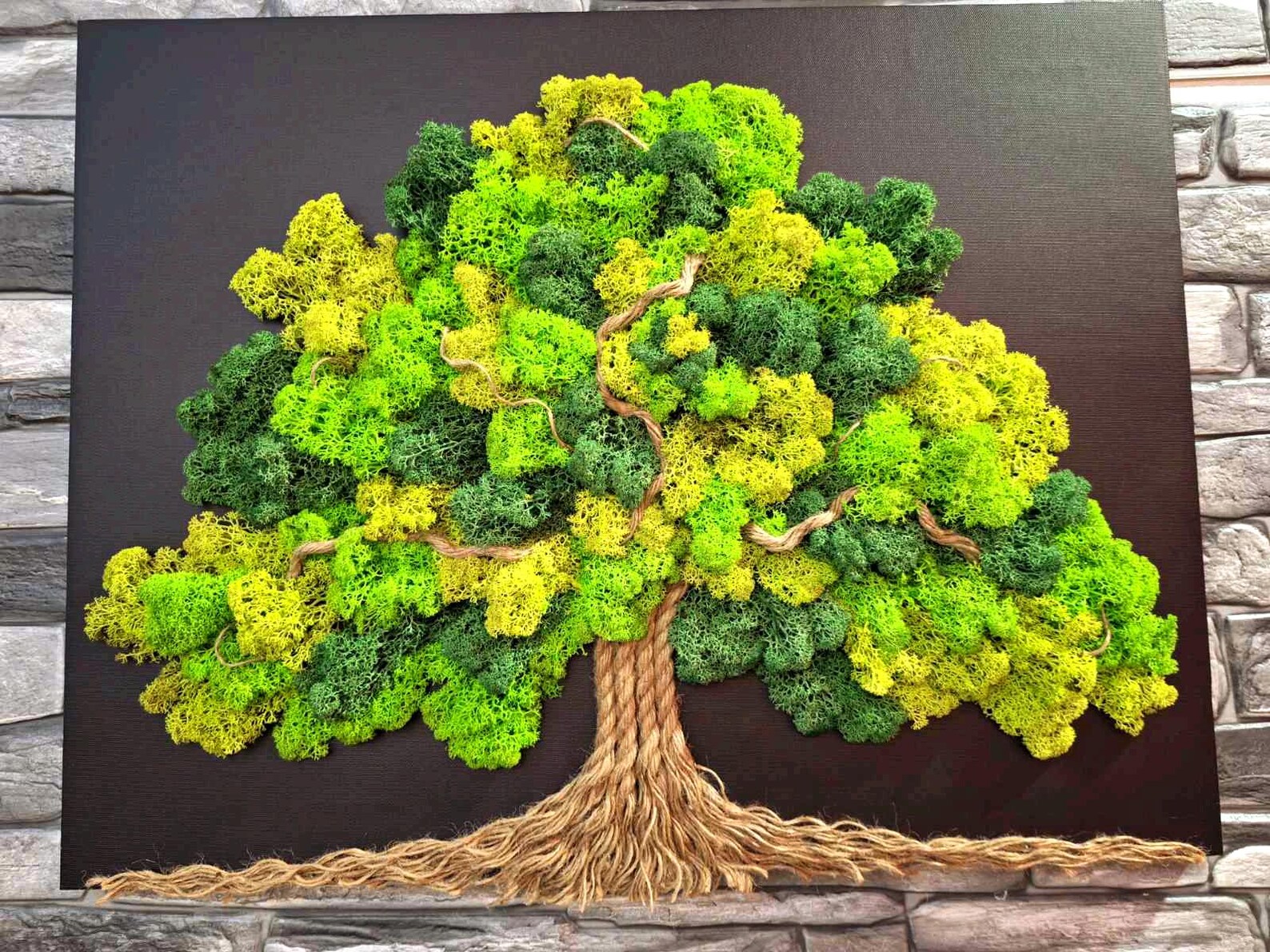 Tree of Life Moss Wall Art – Large 60x50cm Living Picture with Stabilized Reindeer Moss for Zen Home Décor