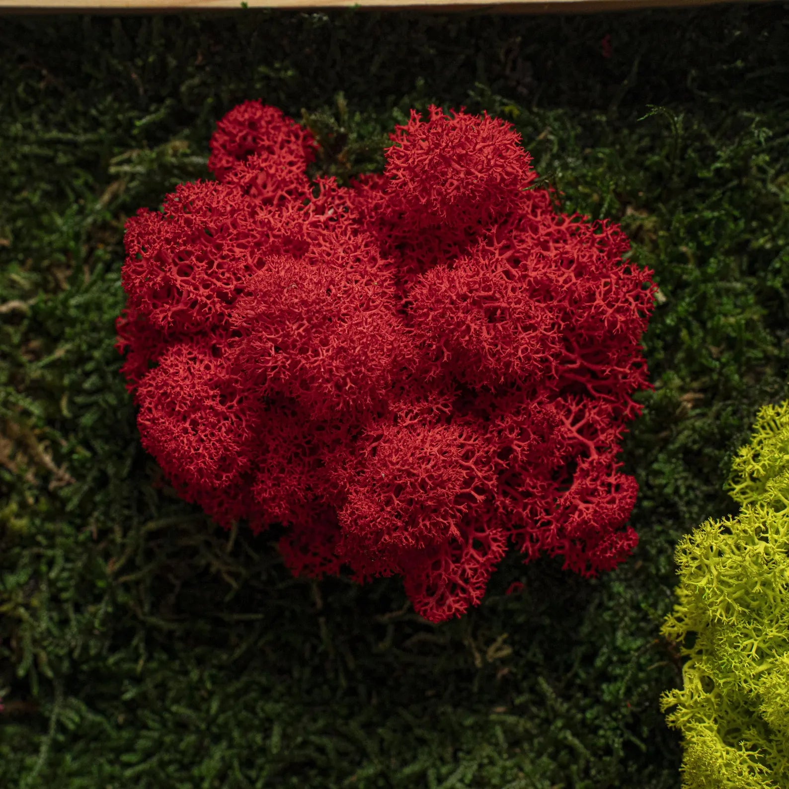 Rustic Moss Wall Art – Handmade Preserved Wooden Rectangle Moss Decor, Colorful Eco-Friendly Gift