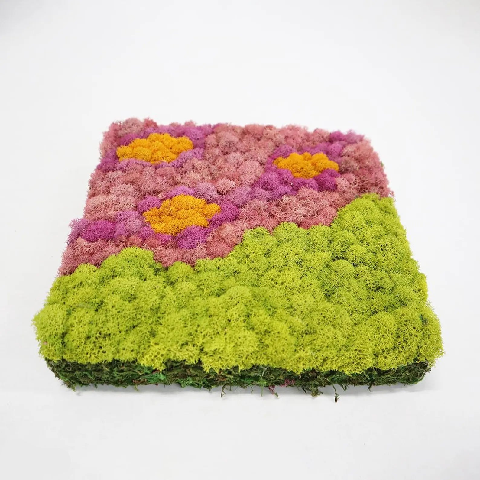 Flower Power Moss Wall Art – Retro 60s Floral Design for Home Decor