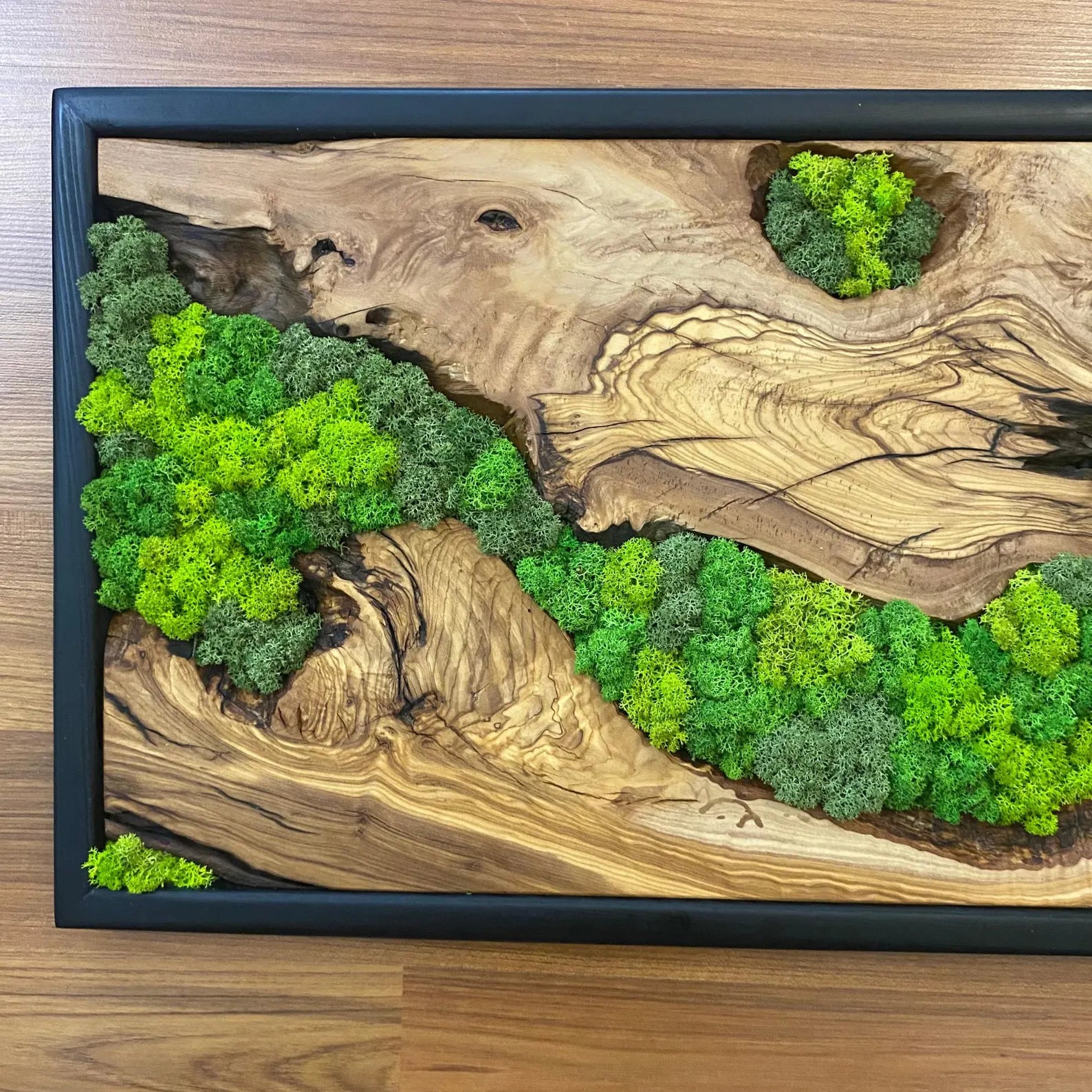 Moss Wall Art – Preserved Moss and Olive Wood Wall Decor for Living Room