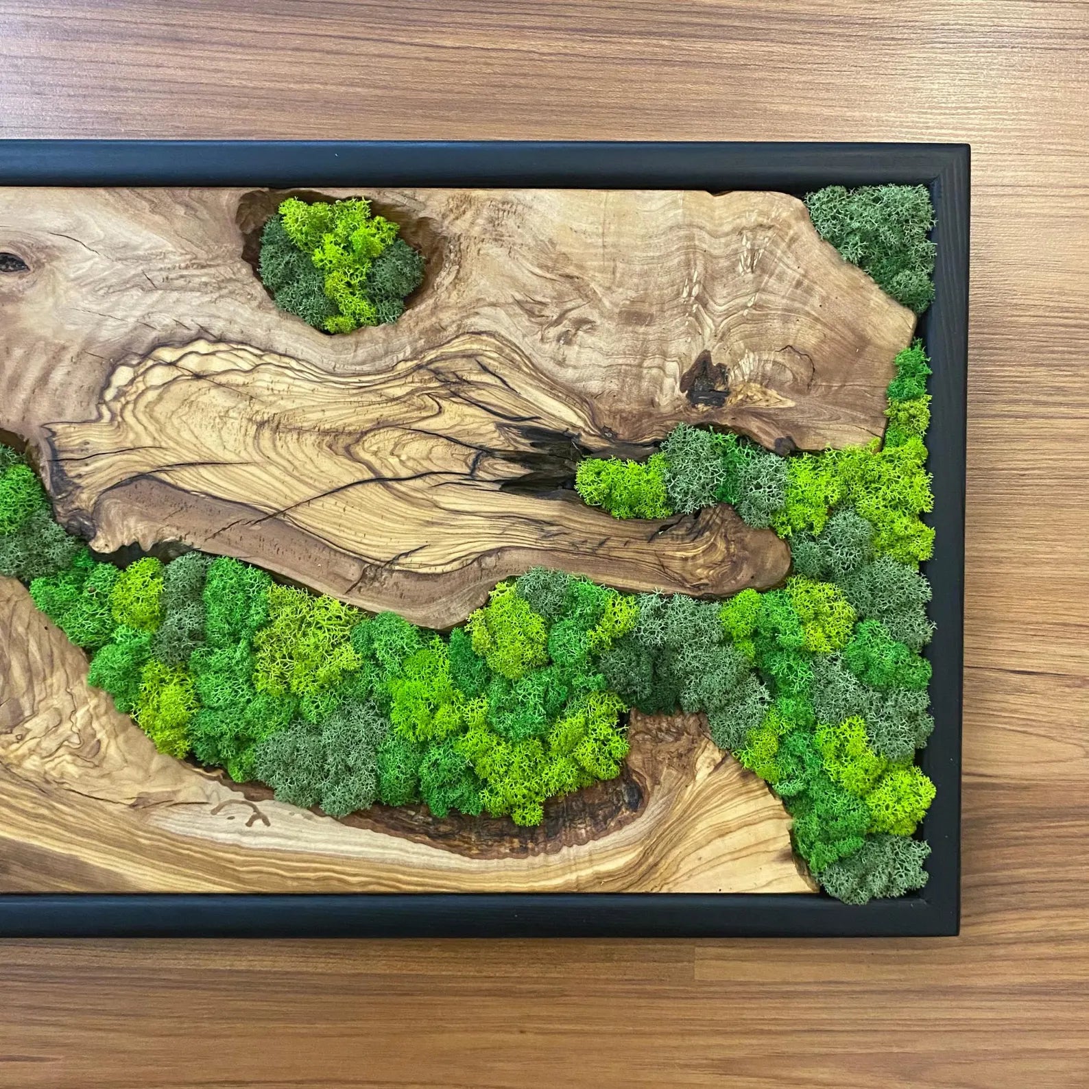 Moss Wall Art – Preserved Moss and Olive Wood Wall Decor for Living Room