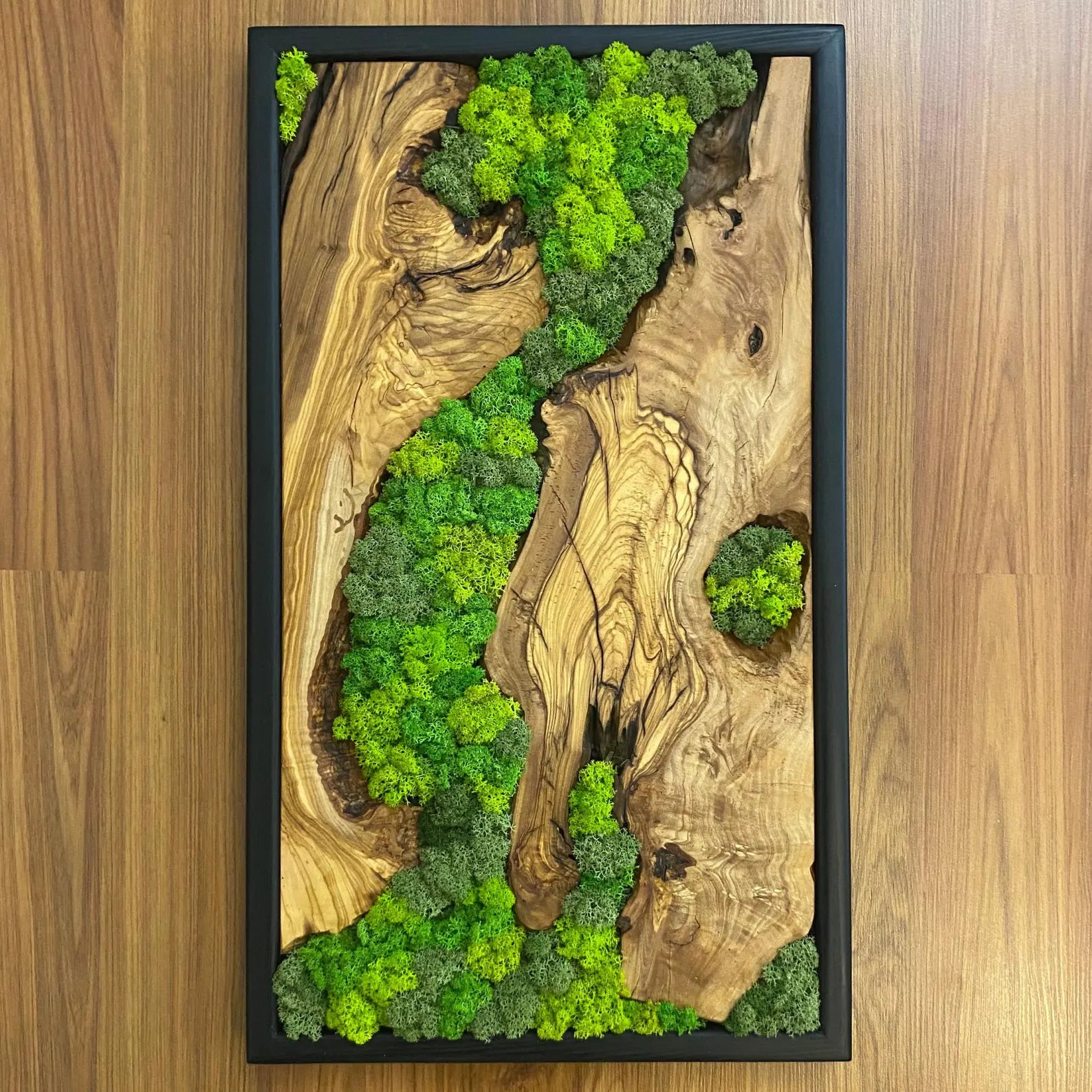 Moss Wall Art – Preserved Moss and Olive Wood Wall Decor for Living Room