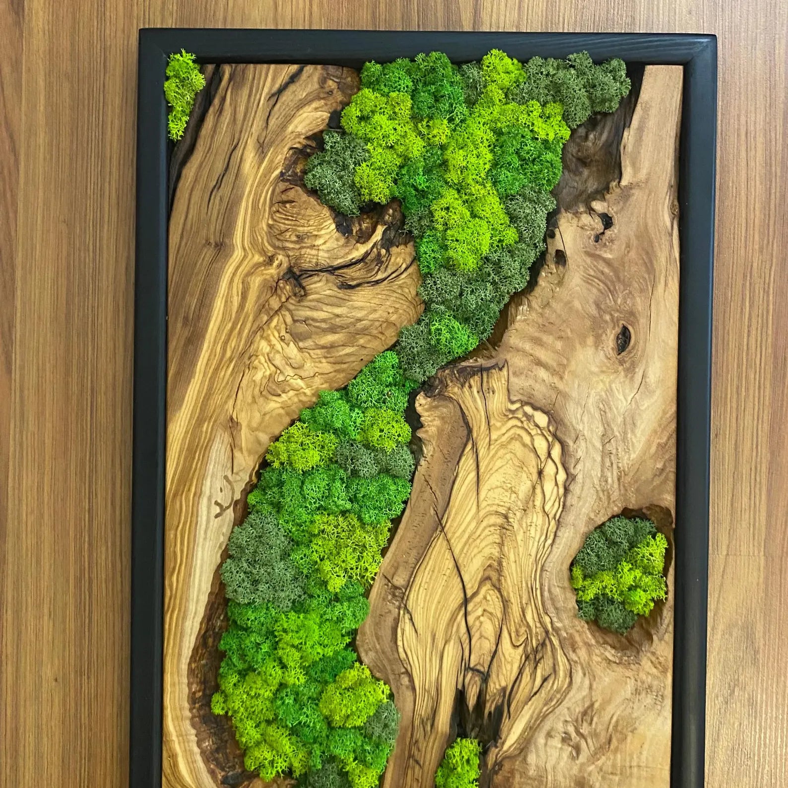 Moss Wall Art – Preserved Moss and Olive Wood Wall Decor for Living Room