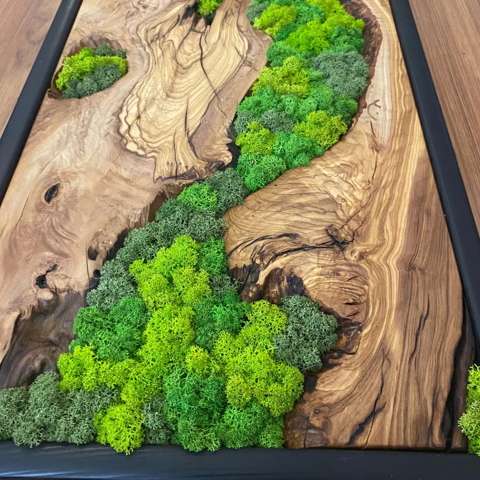Moss Wall Art – Preserved Moss and Olive Wood Wall Decor for Living Room