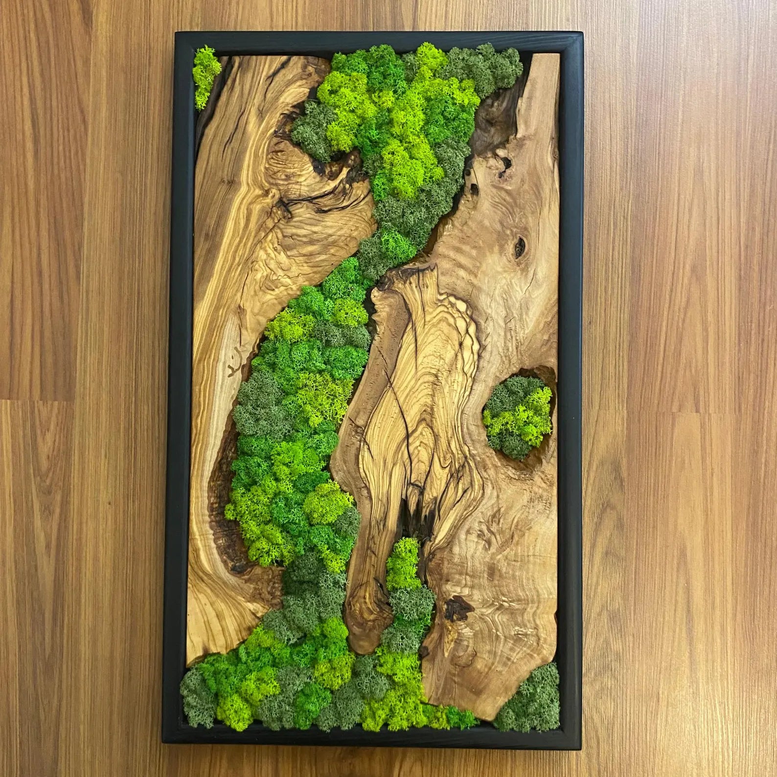 Moss Wall Art – Preserved Moss and Olive Wood Wall Decor for Living Room