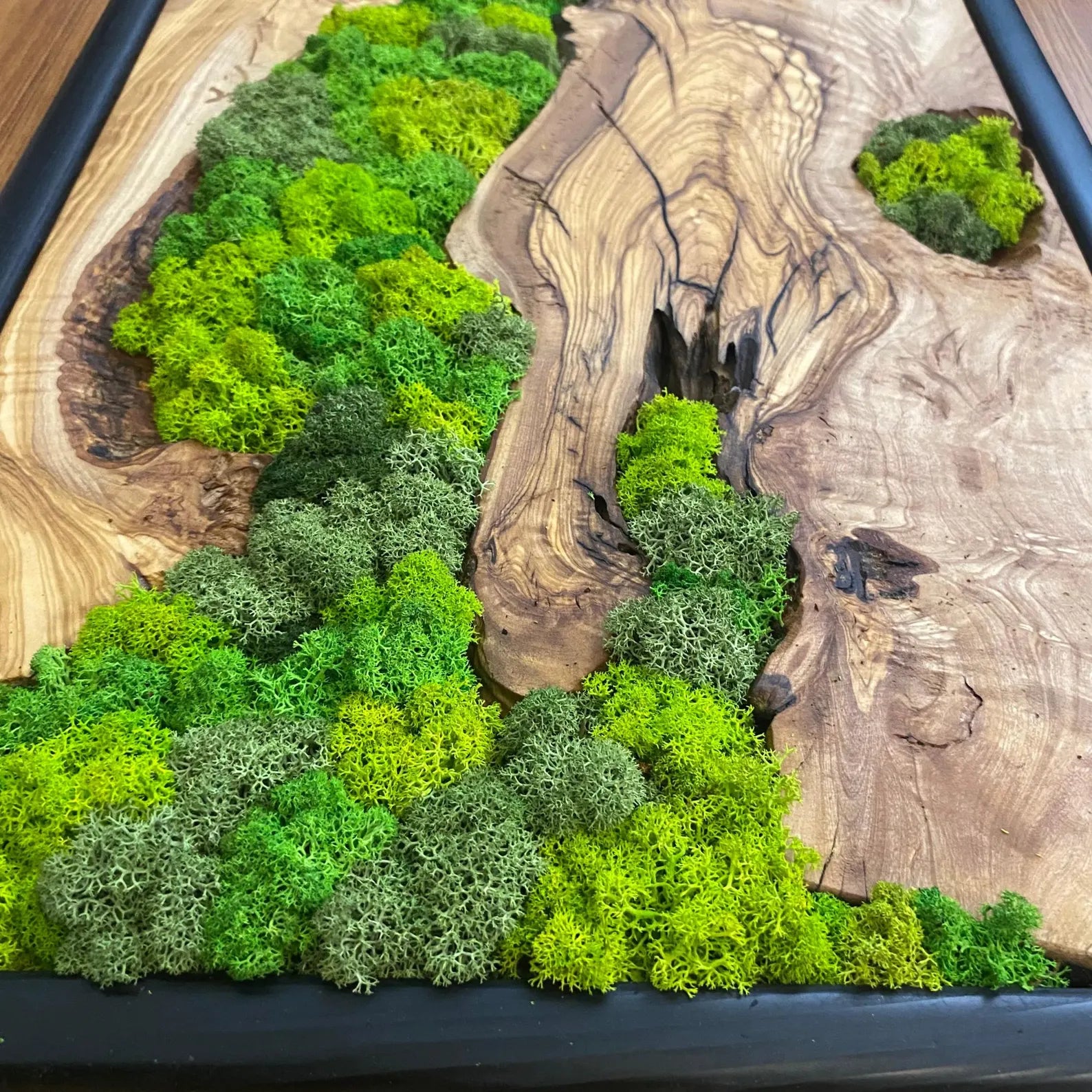 Moss Wall Art – Preserved Moss and Olive Wood Wall Decor for Living Room