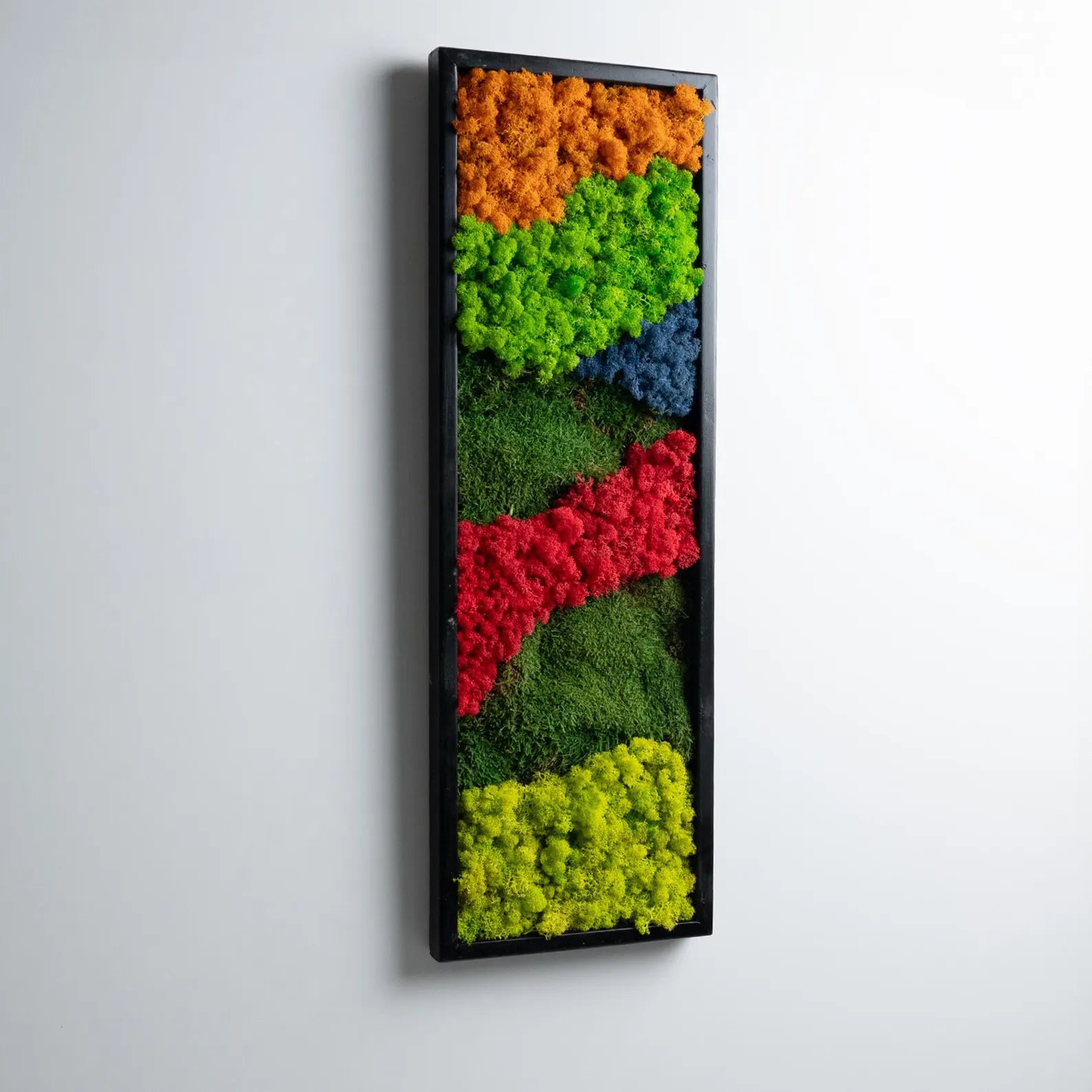 Colorful Moss Wall Art – Preserved Green Botanical Decor | Modern Farmhouse Accent & Mother’s Day Gift