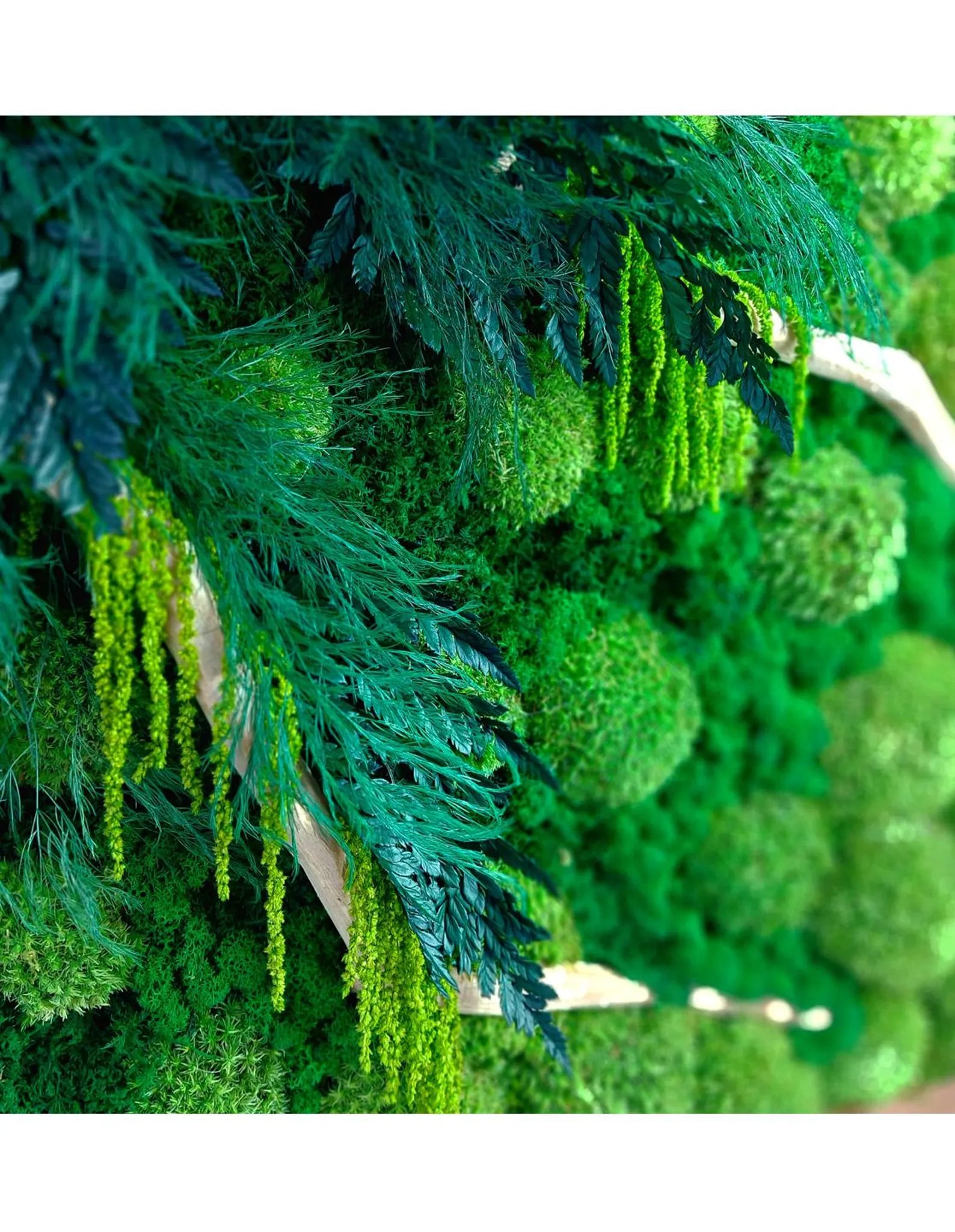 Preserved Moss Wall Art – Natural Green Wall Decor Panel