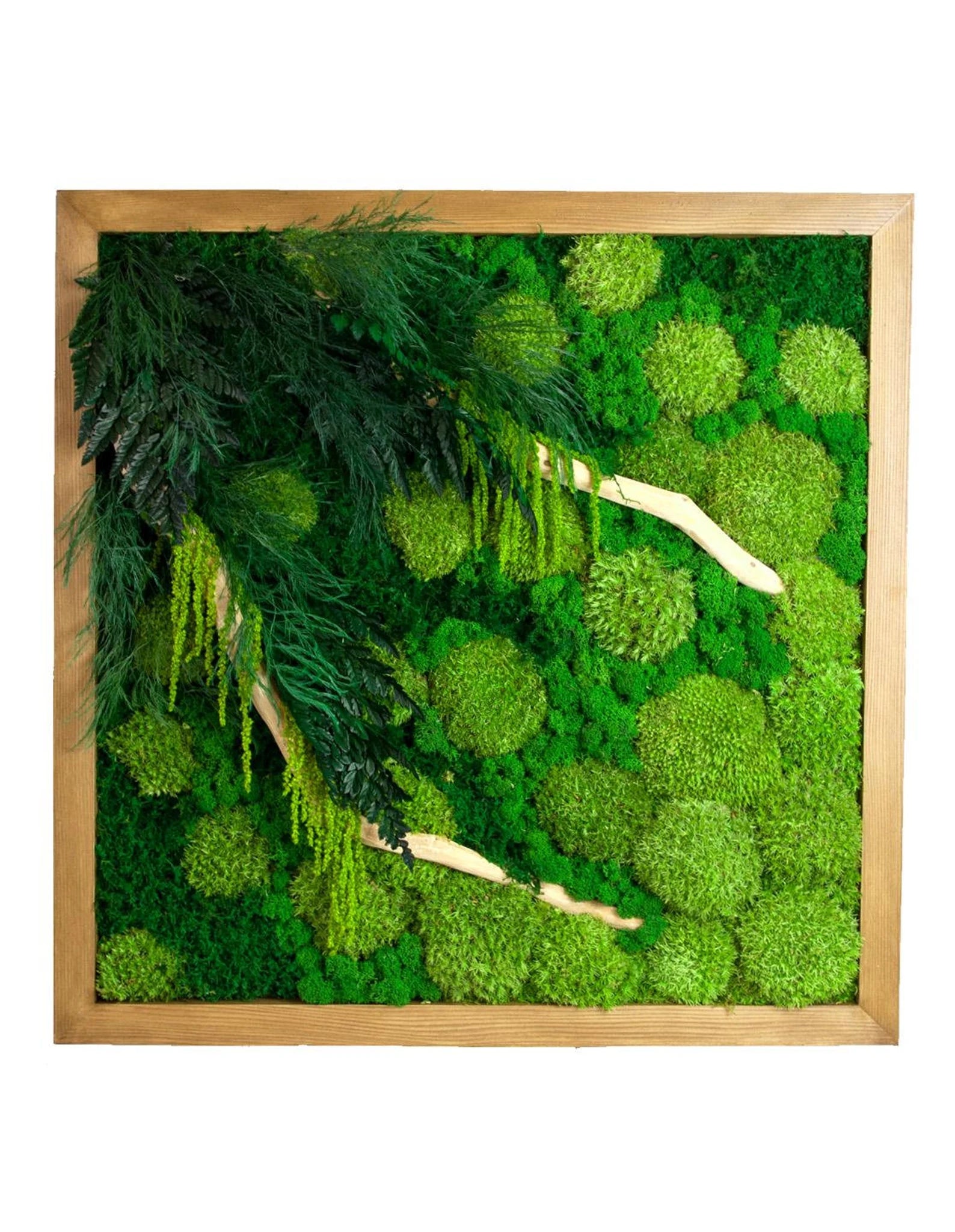 Preserved Moss Wall Art – Natural Green Wall Decor Panel