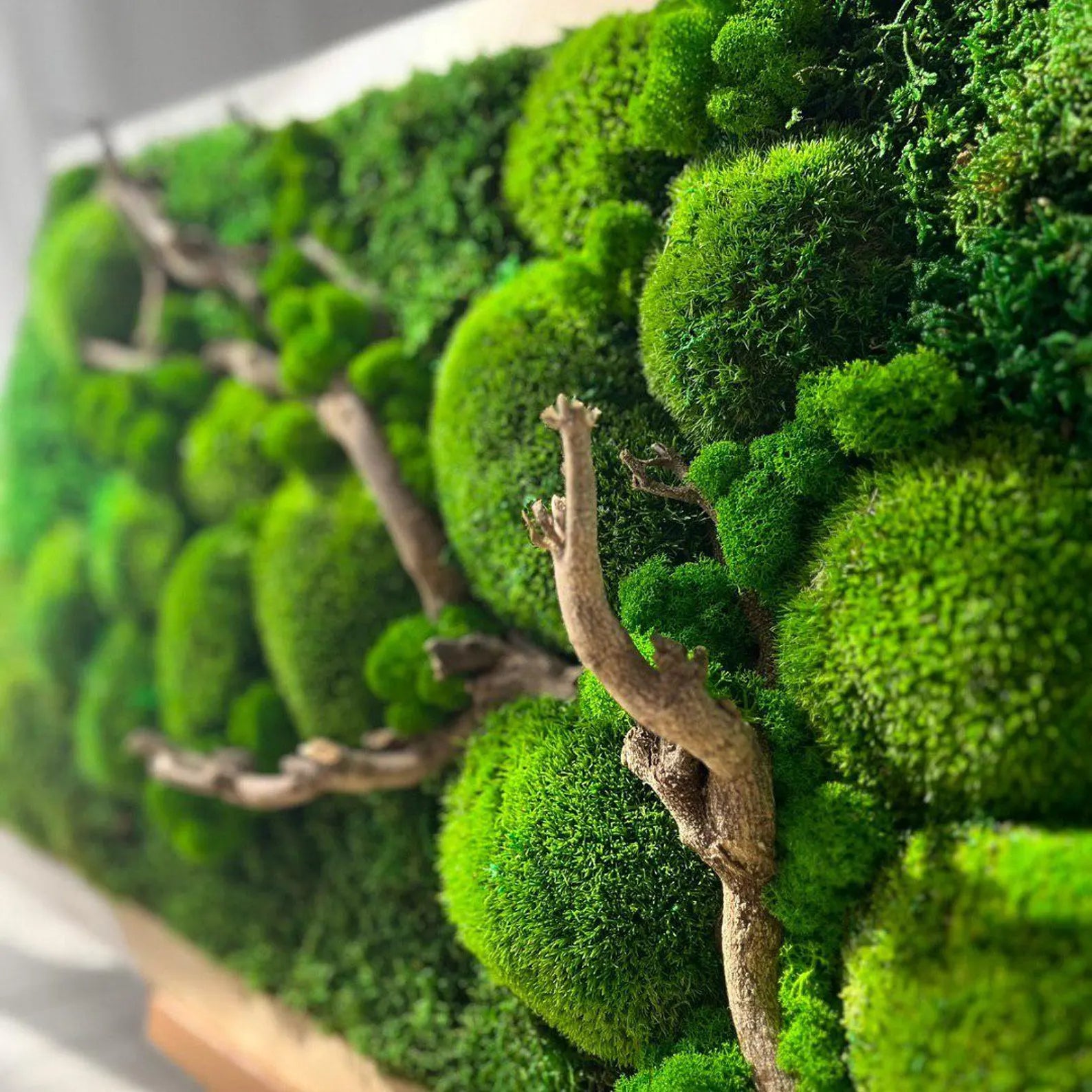 Luminous Reindeer Moss Wall Art with Branches β LED Backlight & Wooden Frame