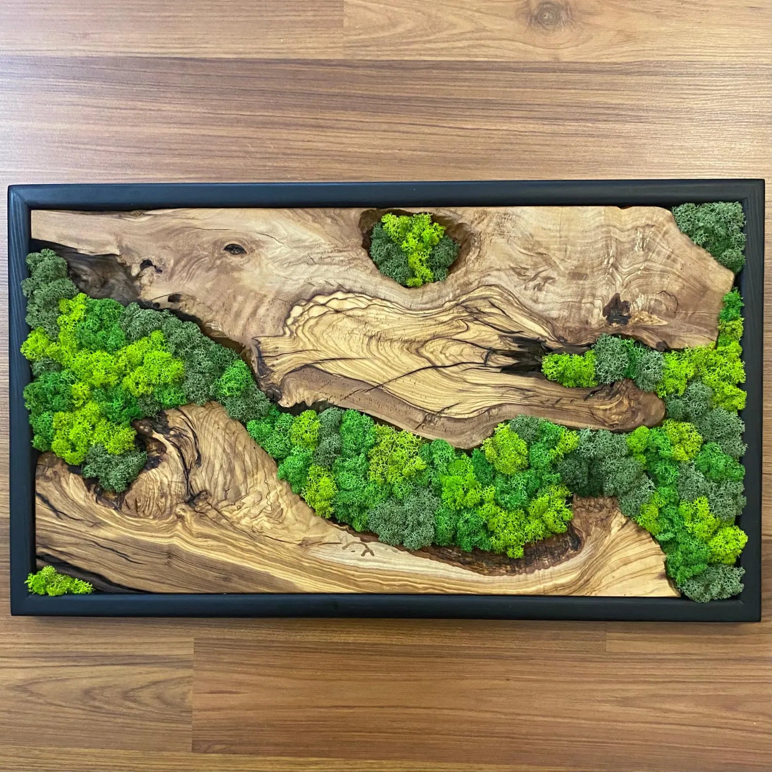 Moss Wall Art – Preserved Moss and Olive Wood Wall Decor for Living Room