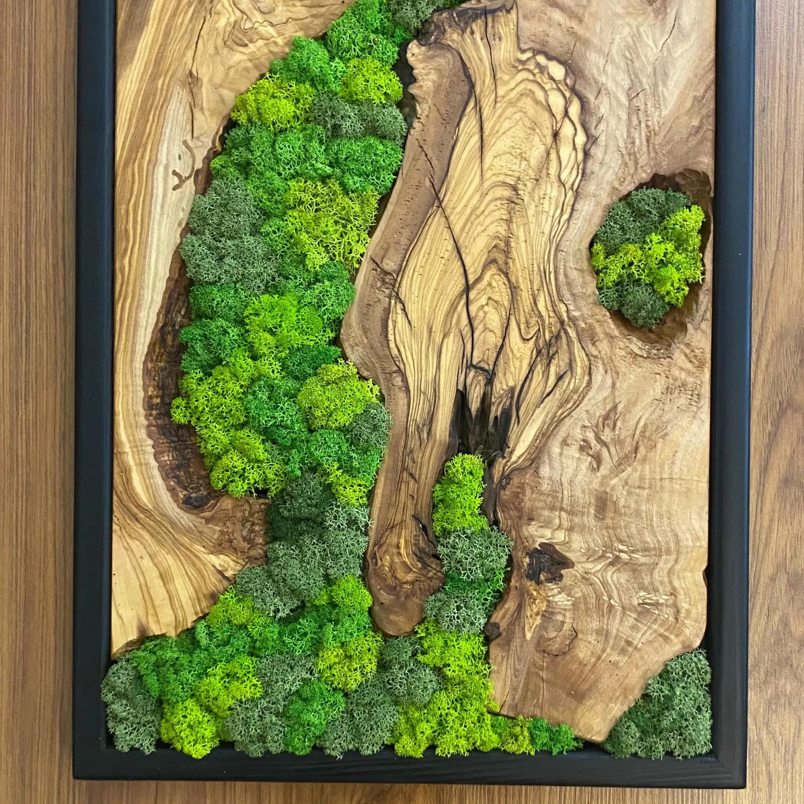 Moss Wall Art – Preserved Moss and Olive Wood Wall Decor for Living Room
