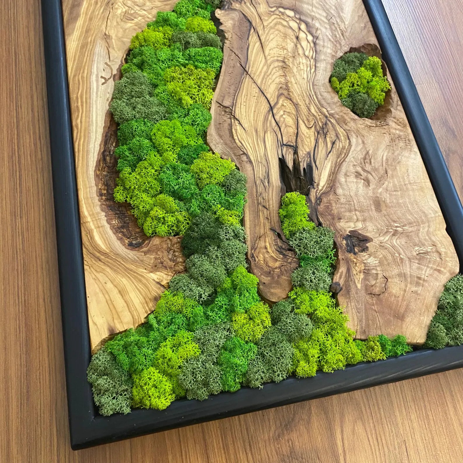 Moss Wall Art – Preserved Moss and Olive Wood Wall Decor for Living Room
