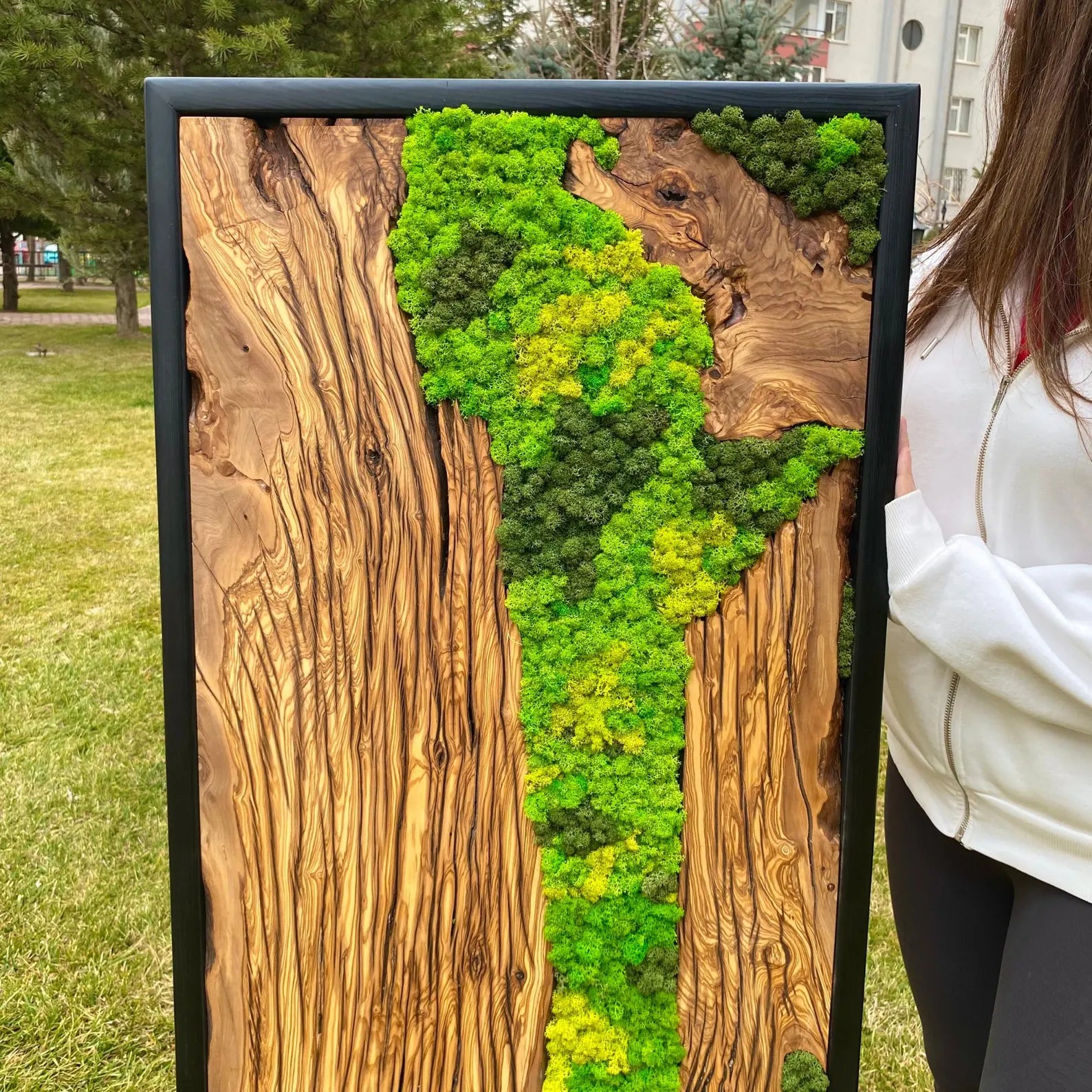 Preserved Moss Wall Art – Made to Order Olive Wood Wall Decor for Living Room