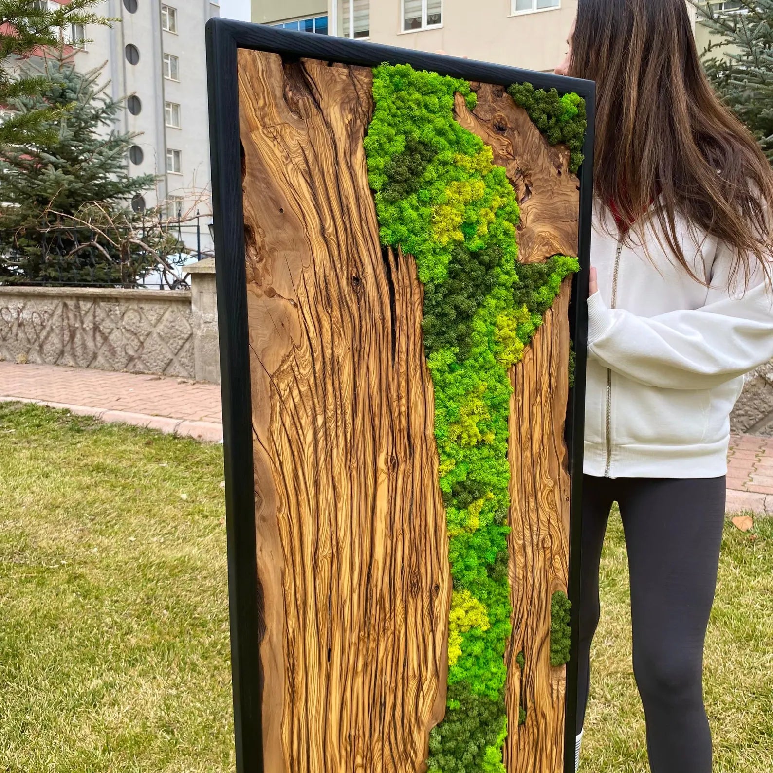 Preserved Moss Wall Art – Made to Order Olive Wood Wall Decor for Living Room