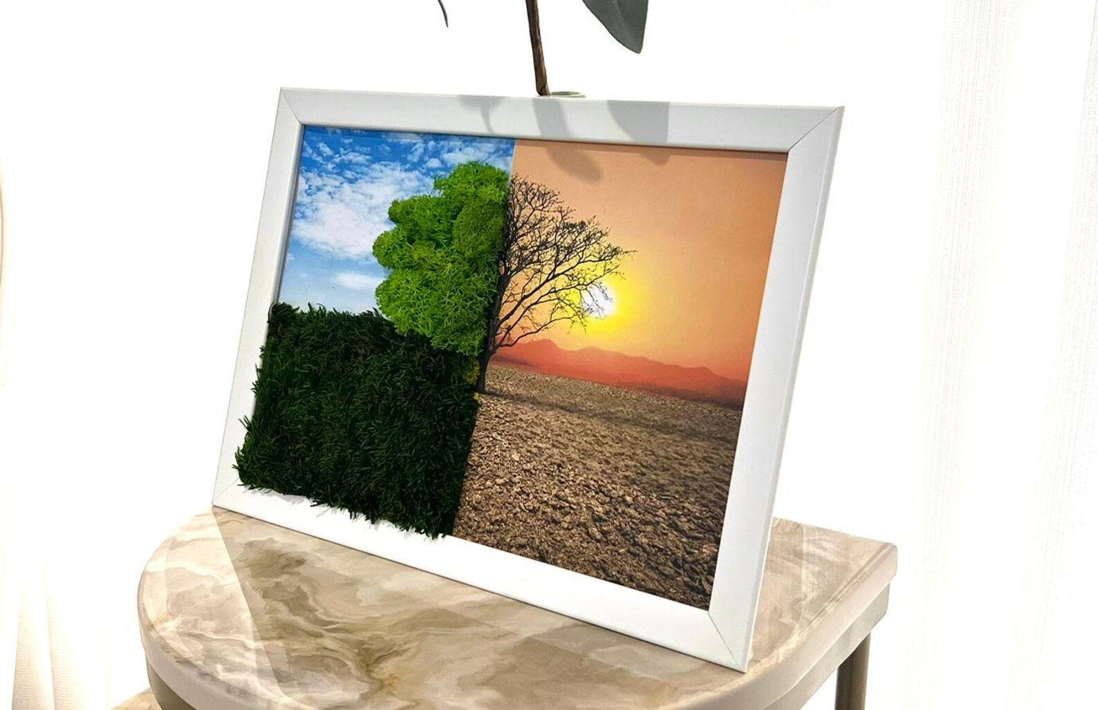 Live Moss Wall Decor – Tree of Life Wall Art for Home & Office, Housewarming Gift