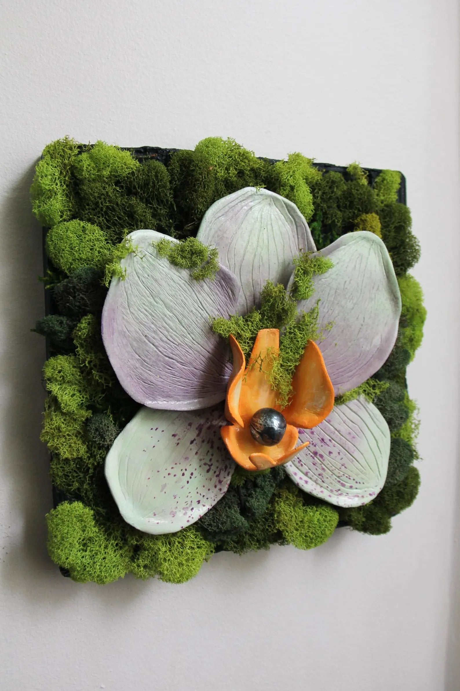Clay Orchid & Moss Wall Art | Preserved Garden Décor 10”