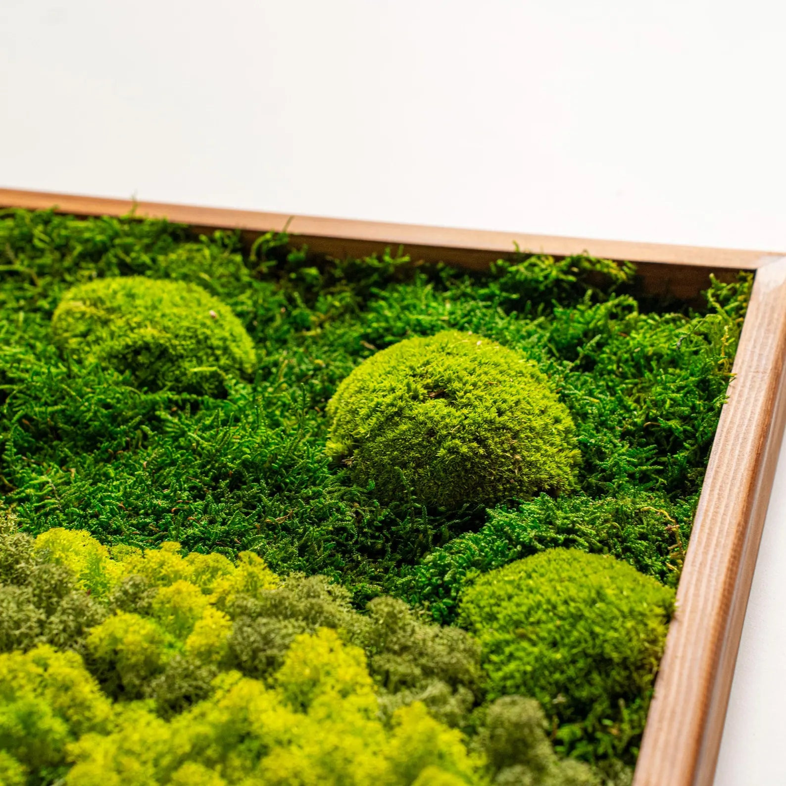 Large Moss Wall Art – Handmade Preserved Green Wall Decor with Wooden Frame