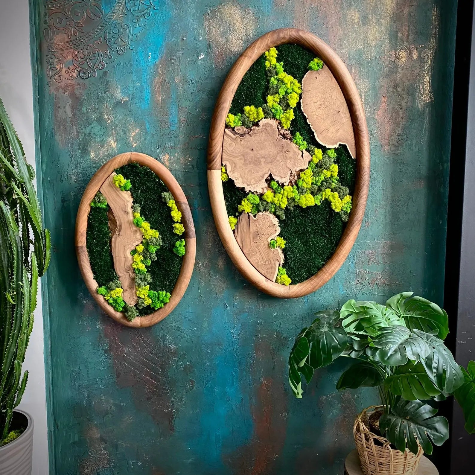 Walnut-Framed Oval Moss Art Set – Olive and Silverberry Wood Wall Decor, Nature-Inspired Home Gift