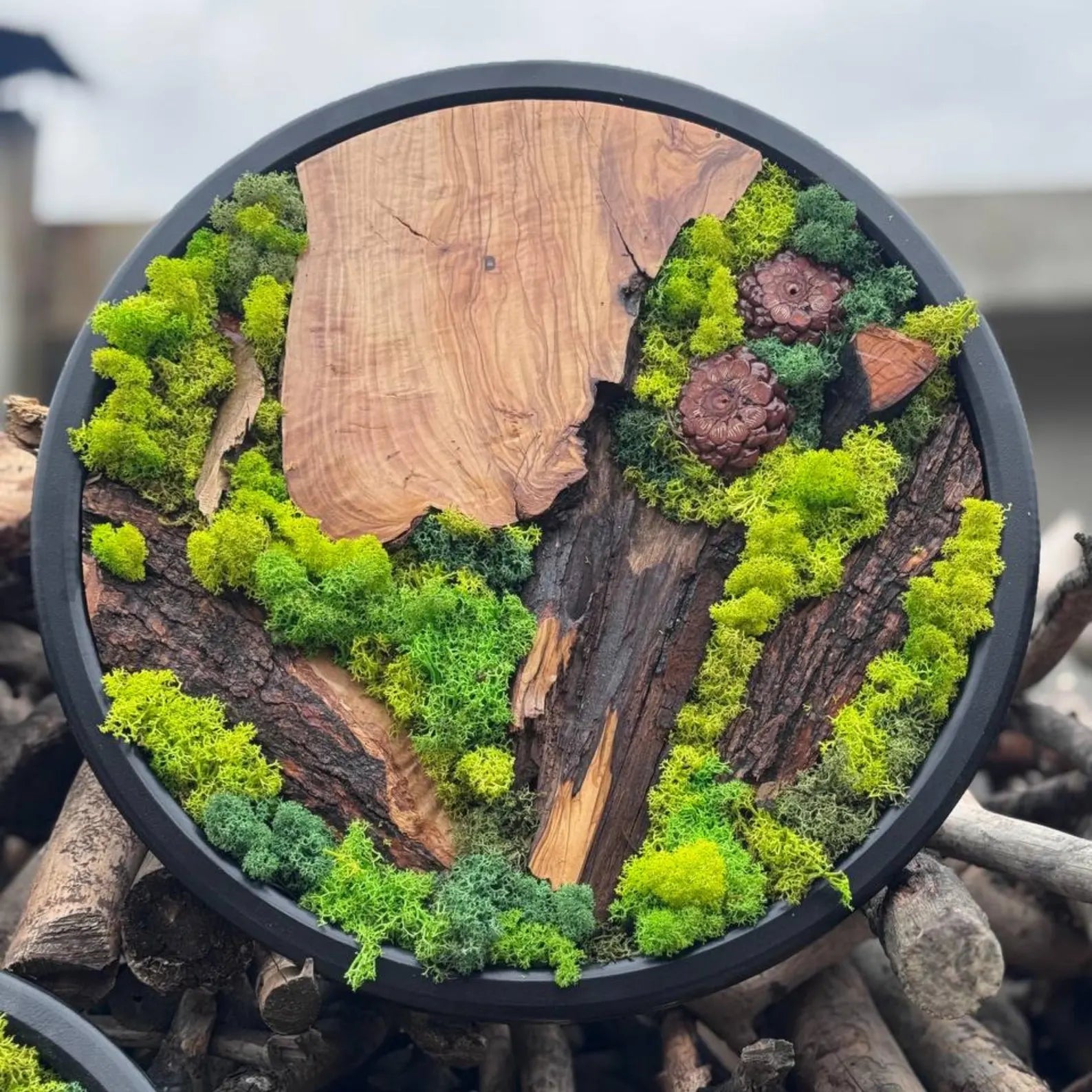 Circle Moss Wall Art: Unique Preserved Moss & Olive Wood Decor