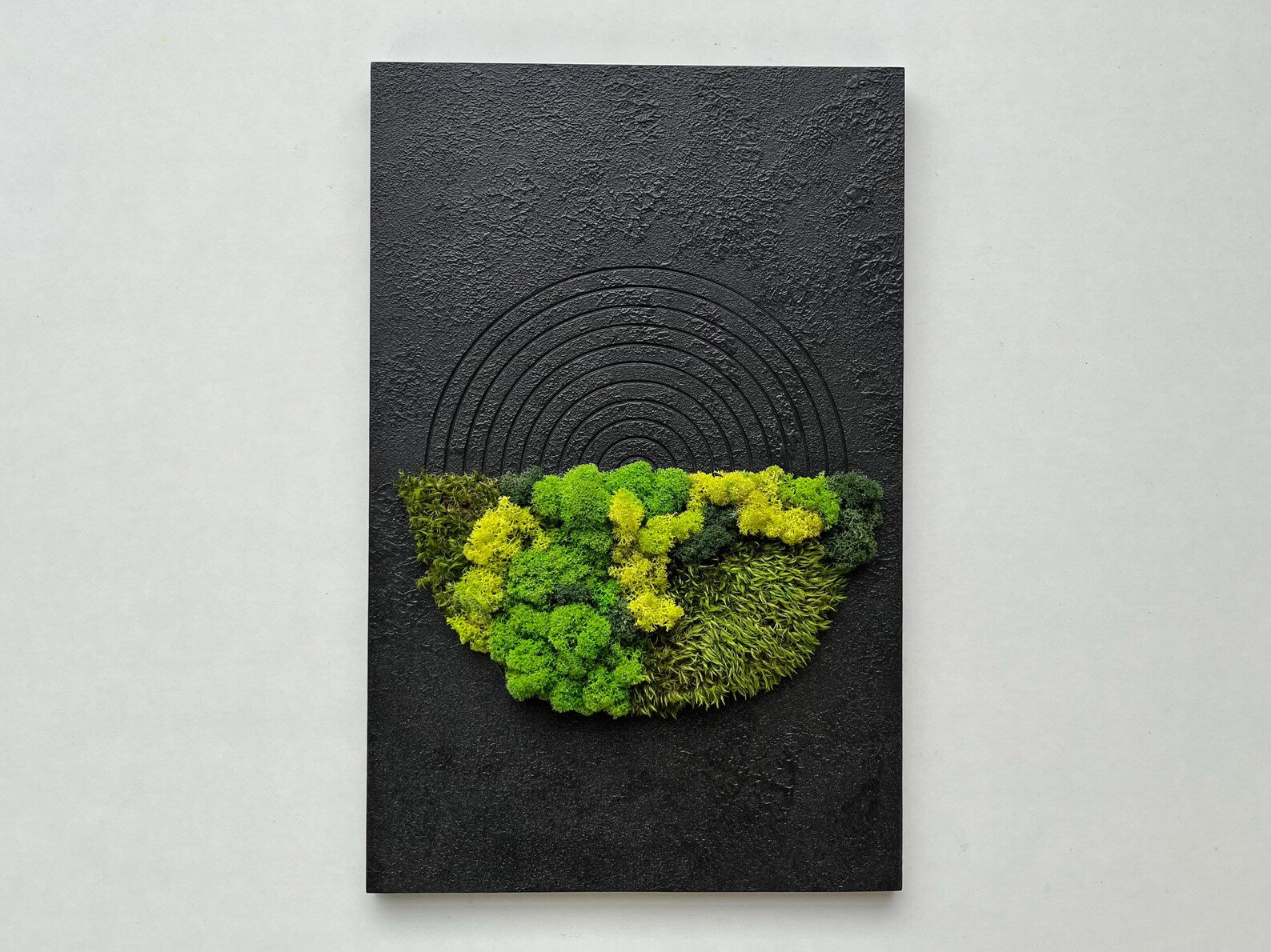 Moss Wall Decor – Handmade Preserved Green Wall Art for Home