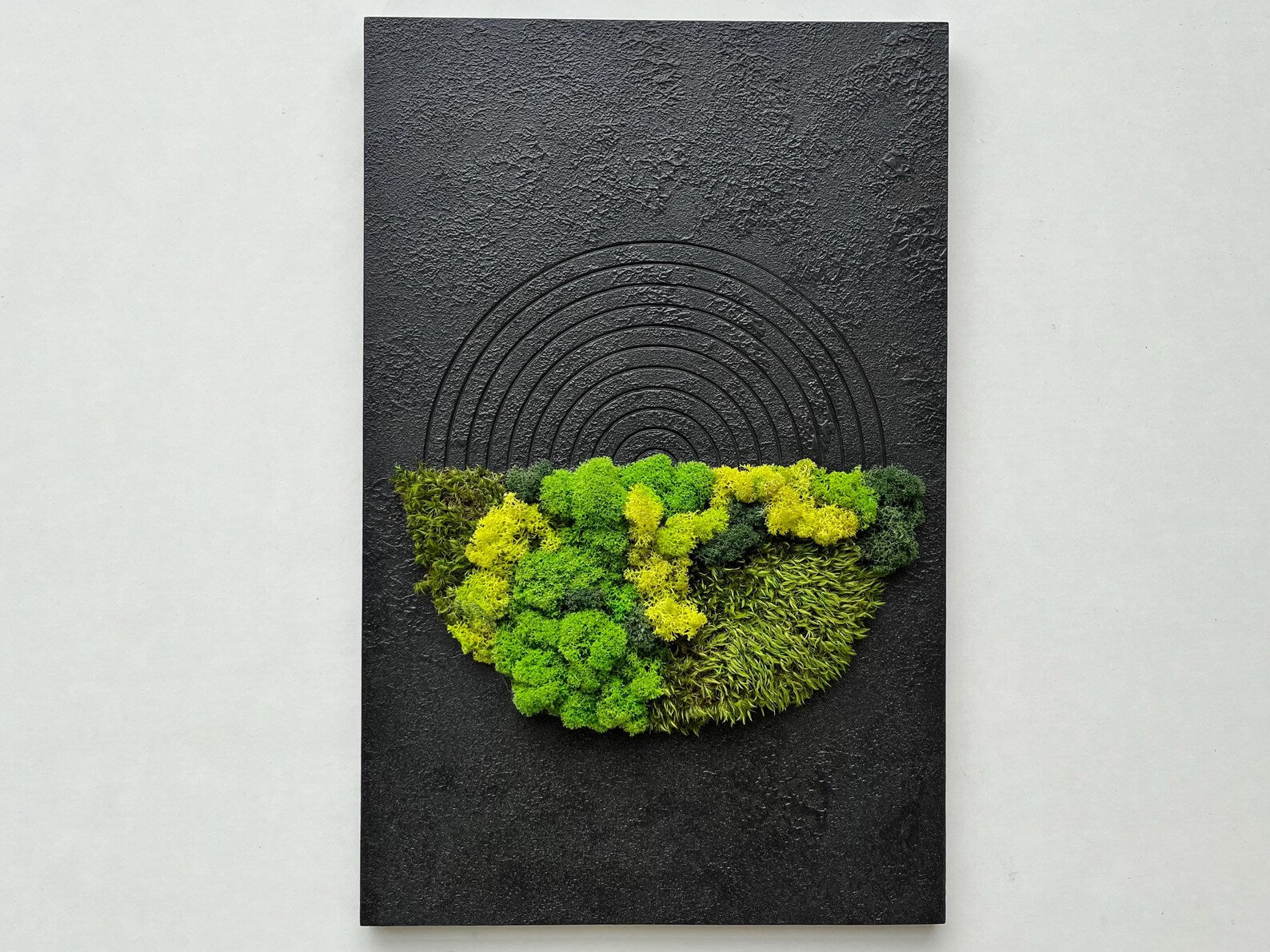 Moss Wall Decor – Handmade Preserved Green Wall Art for Home