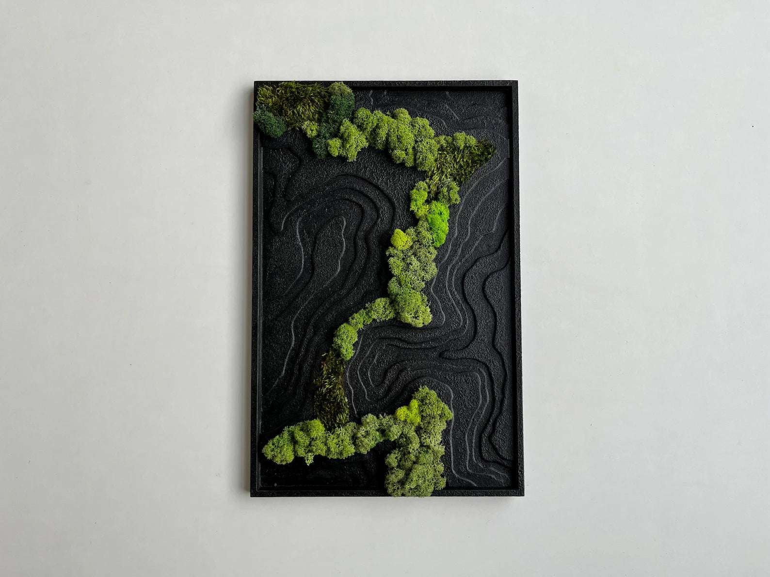 Black Topography Wall Art with Natural Preserved Moss – Modern Biophilic Decor
