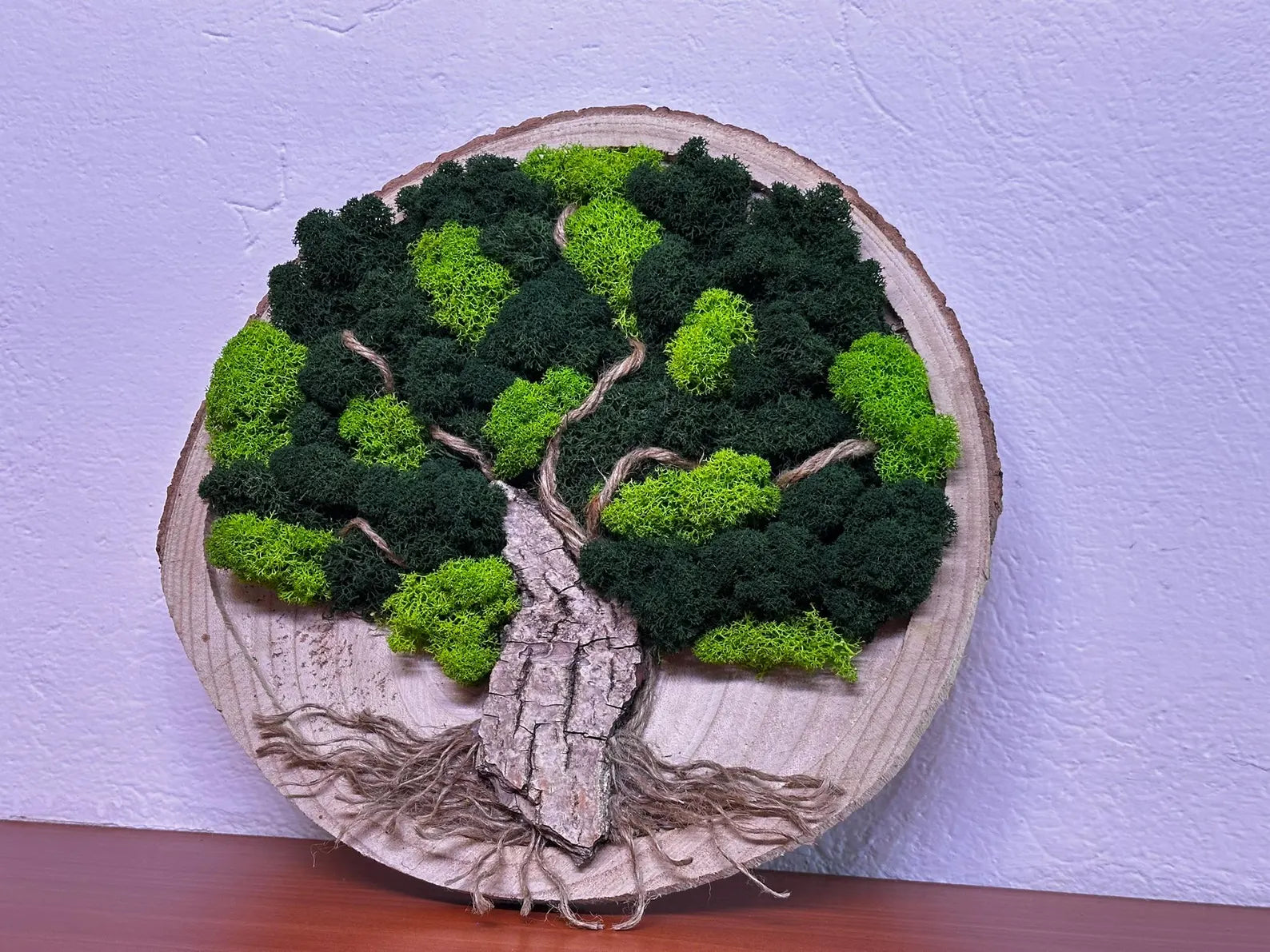 Tree of Life Moss Frame – Natural Wall Decor for Living Space