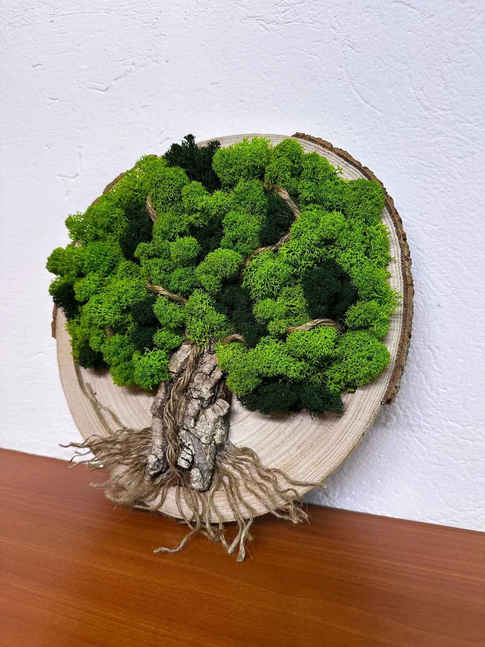 Tree of Life Moss Frame – Natural Wall Decor for Living Space