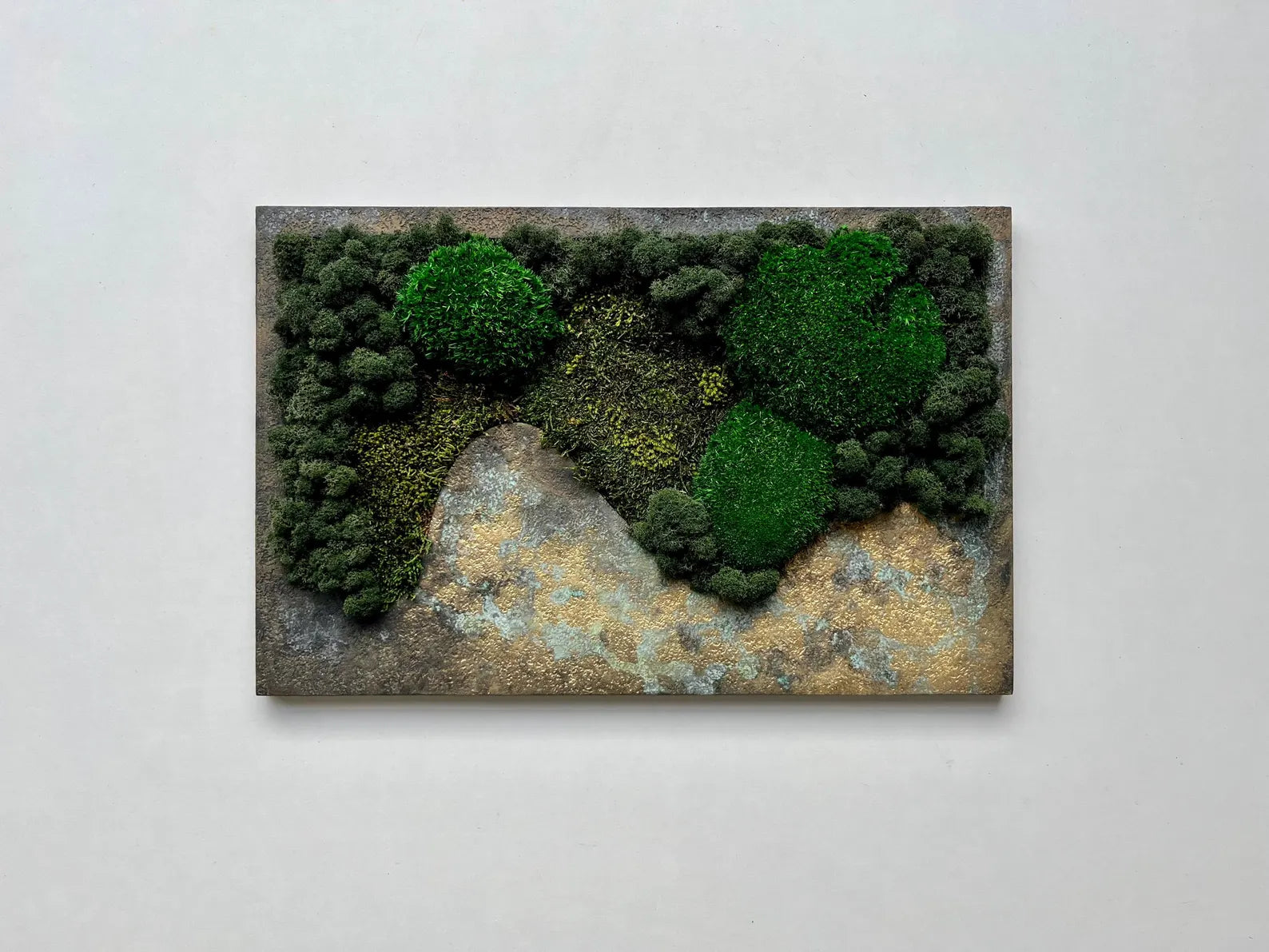 Preserved Moss Wall Decor – Patina Textured Botanical Artwork