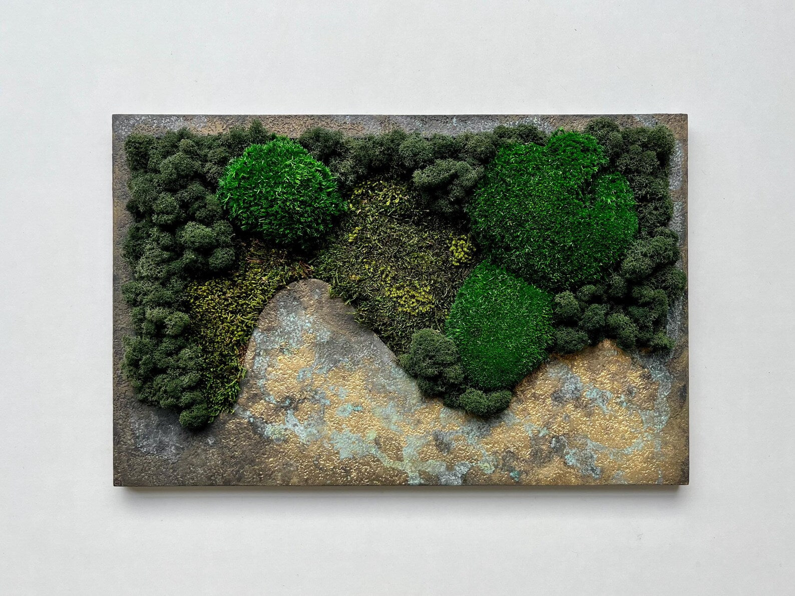 Preserved Moss Wall Decor – Patina Textured Botanical Artwork