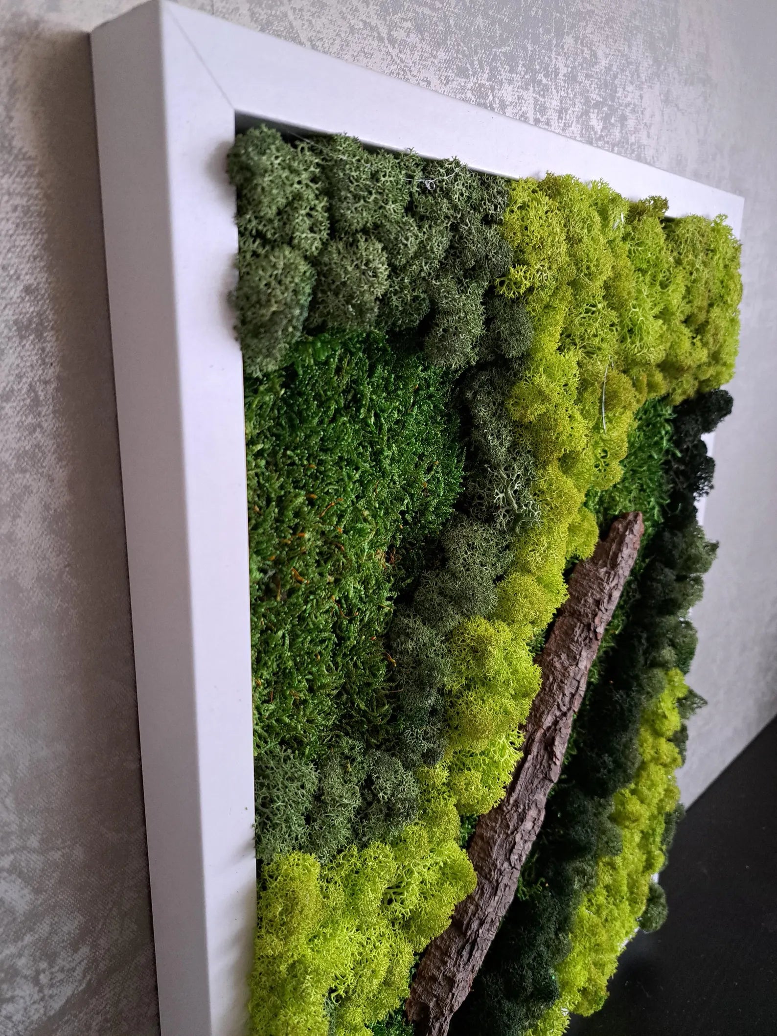 Green Wall Art – Preserved Moss Wall Art Installation for Modern Home Decor
