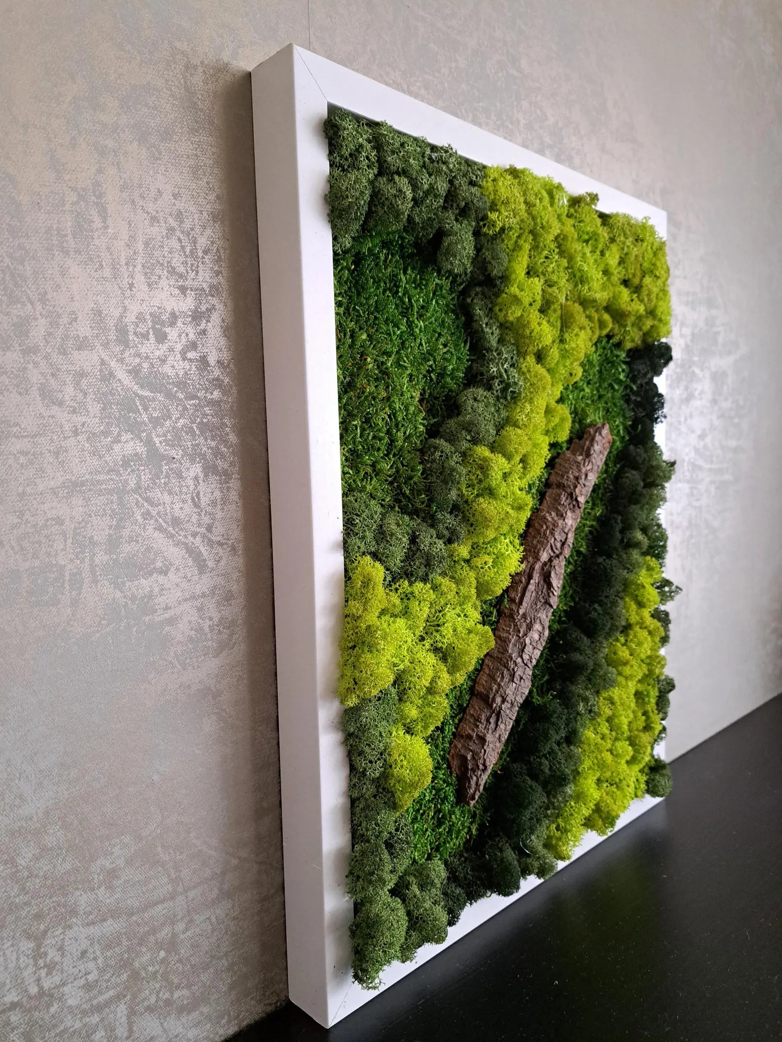 Green Wall Art – Preserved Moss Wall Art Installation for Modern Home Decor