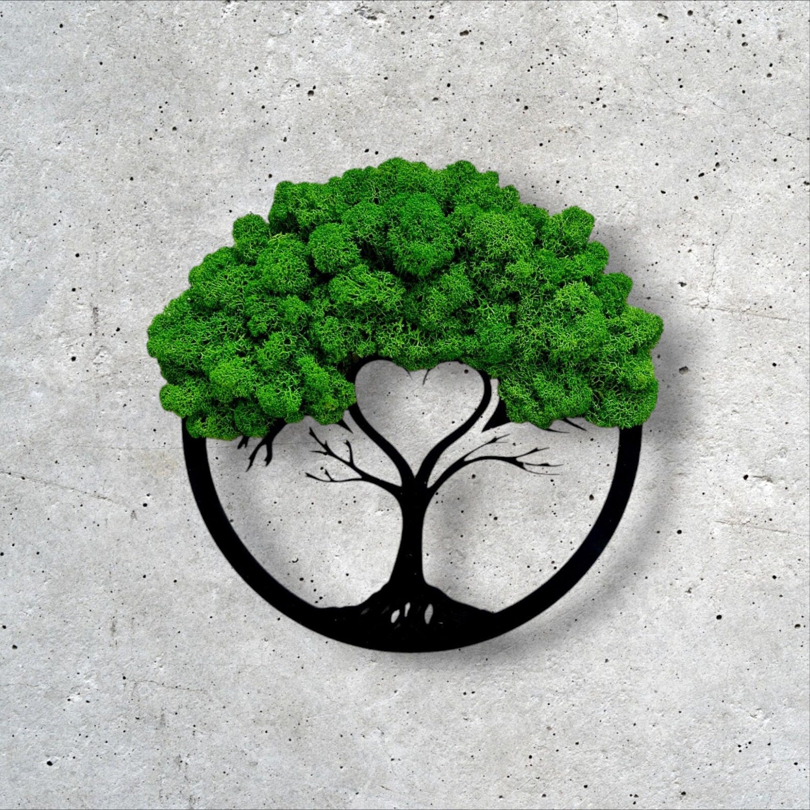 Premium Bonsai Tree Art – Round Preserved Reindeer Moss Wall Decor for Elegant Home Spaces