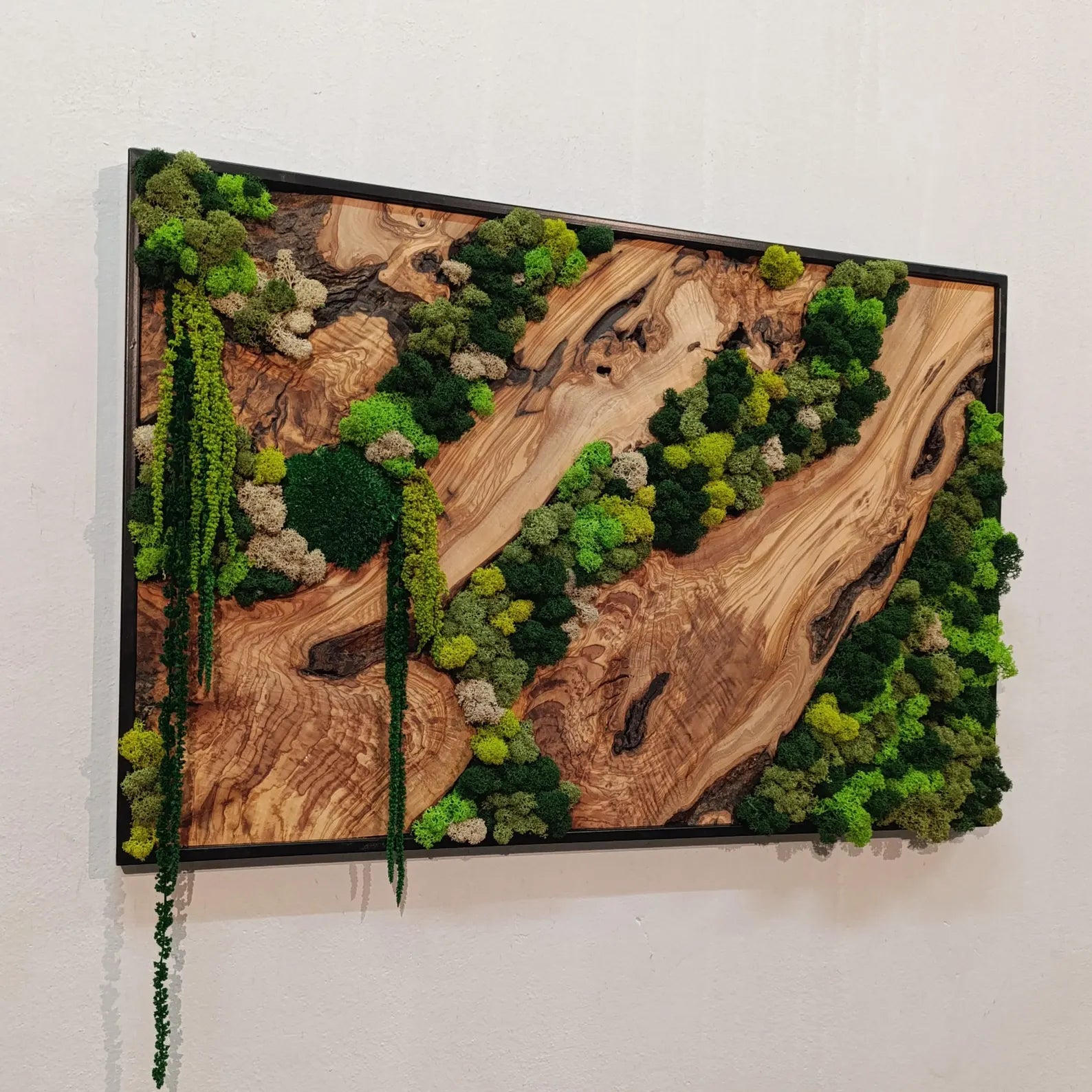 Moss and Wood Wall Art – Rustic Natural Decor for Home & Office