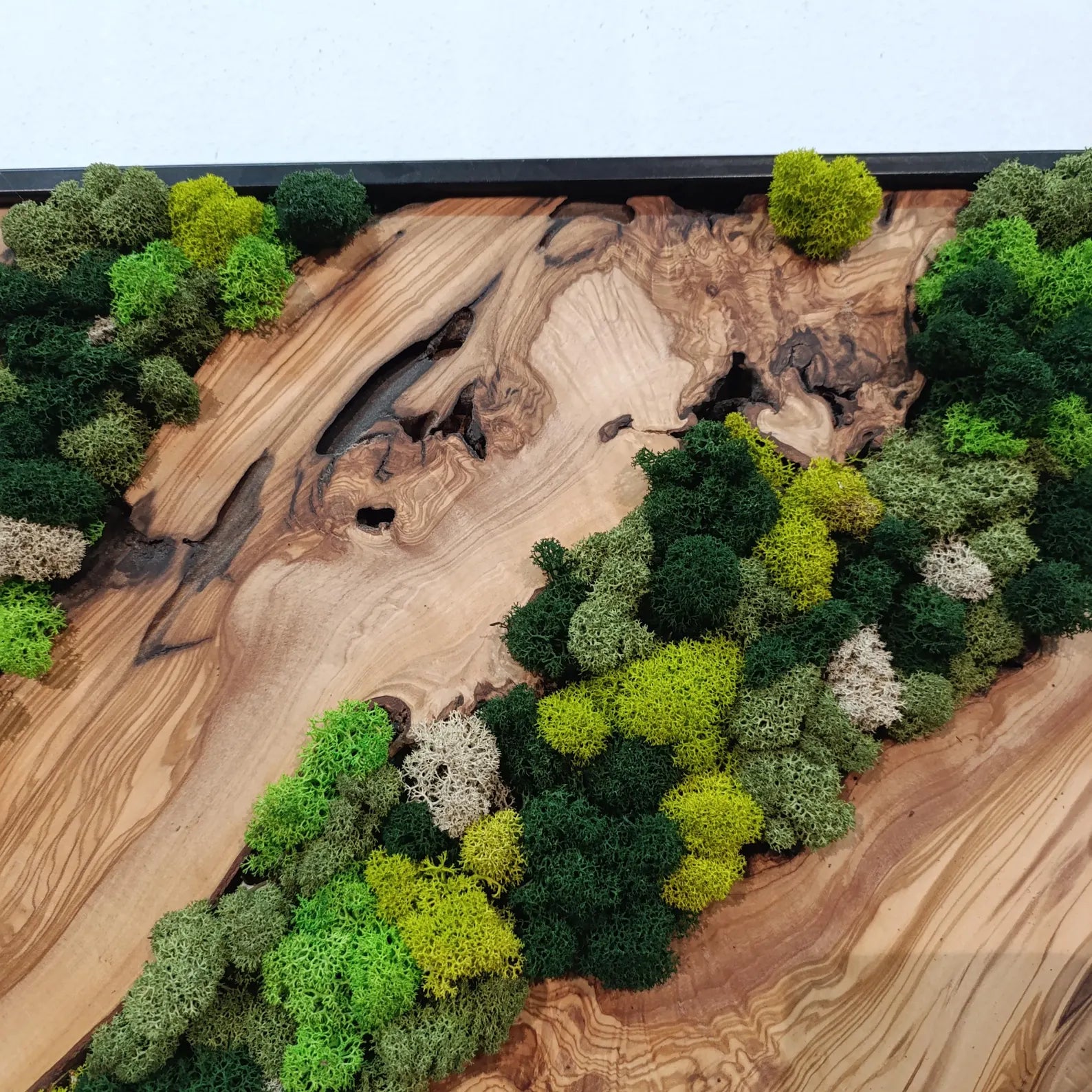 Moss and Wood Wall Art – Rustic Natural Decor for Home & Office