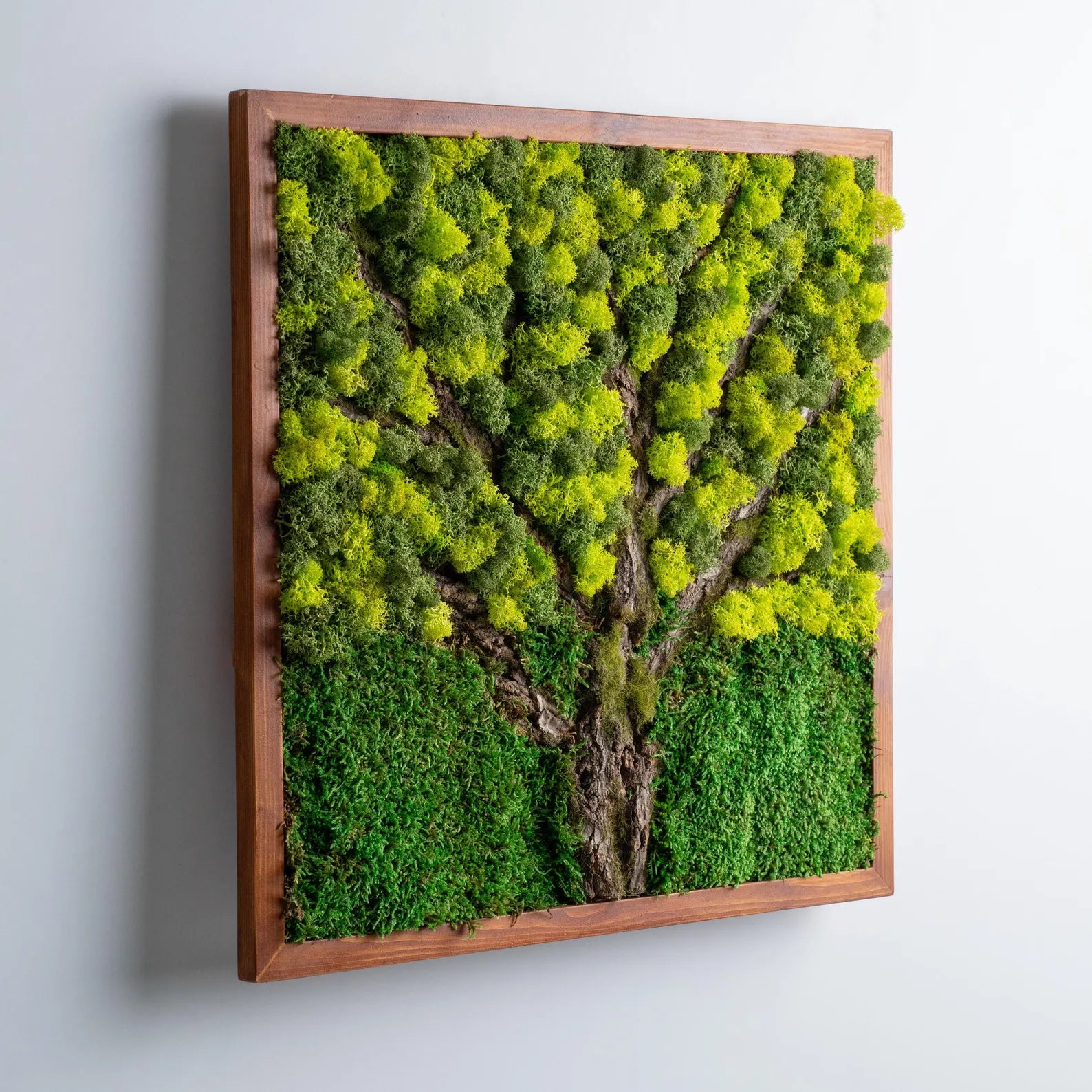 Tree Bark Moss Wall Art – Preserved Stabilized Moss Decor, Rustic Farmhouse Wood Wall Art, Living Room Greenery Decoration