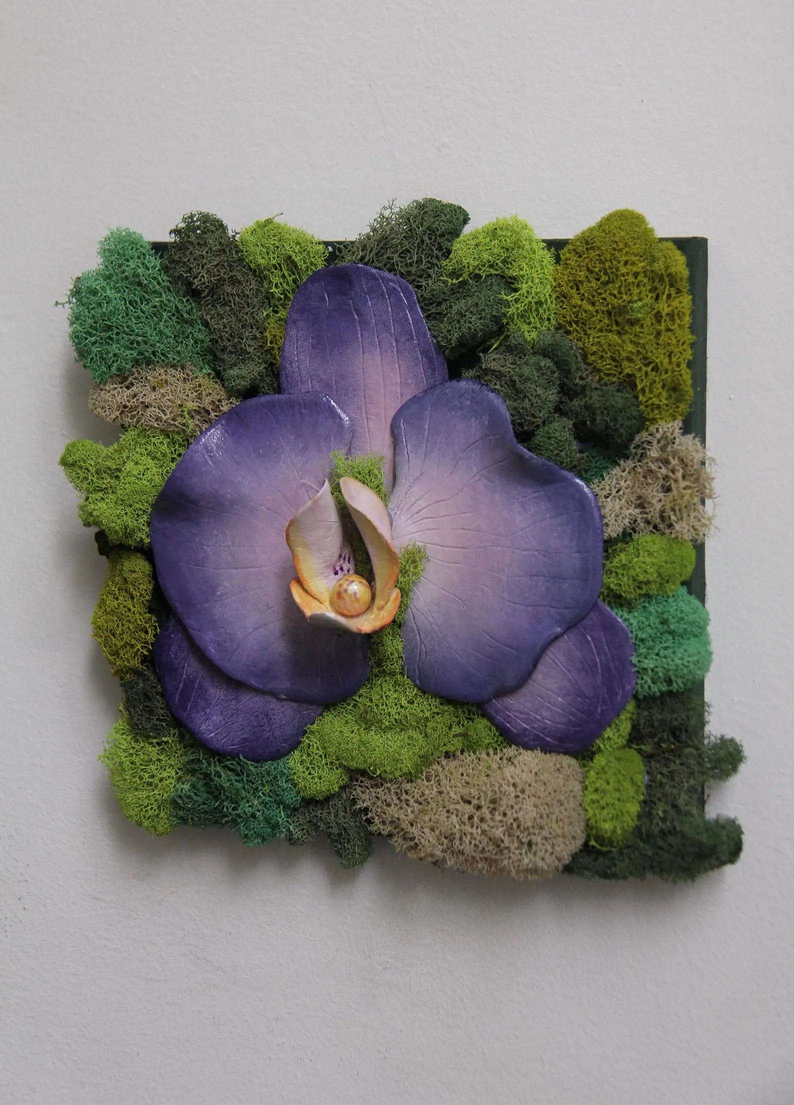 Preserved Moss Wall Décor | Clay Orchid Garden Art 8” x 8”