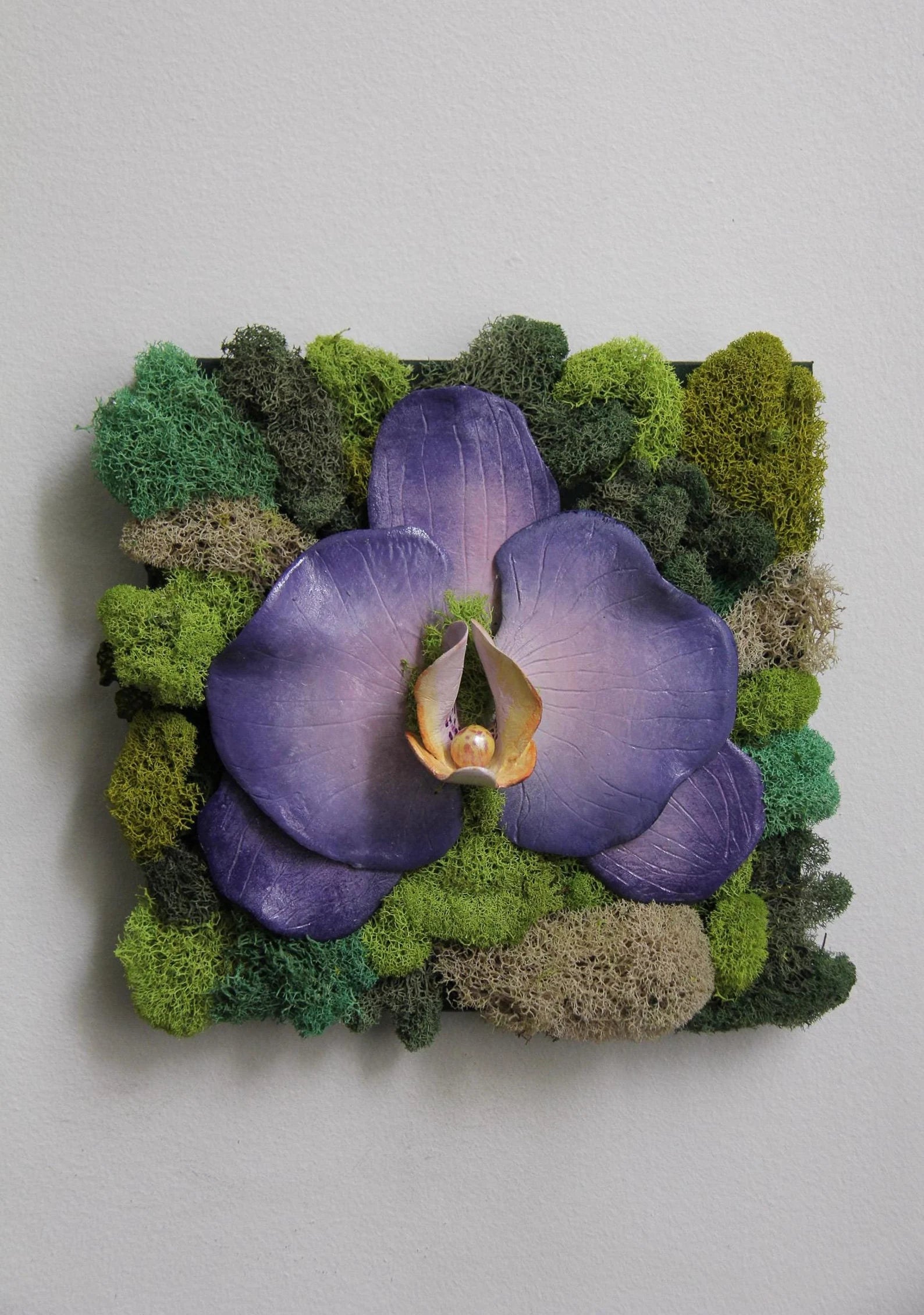 Preserved Moss Wall Décor | Clay Orchid Garden Art 8” x 8”