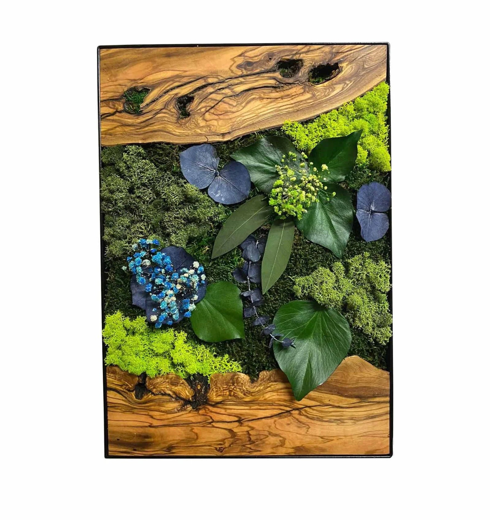 Live Moss Wall Art with Preserved Flowers – Botanical Decor Gift