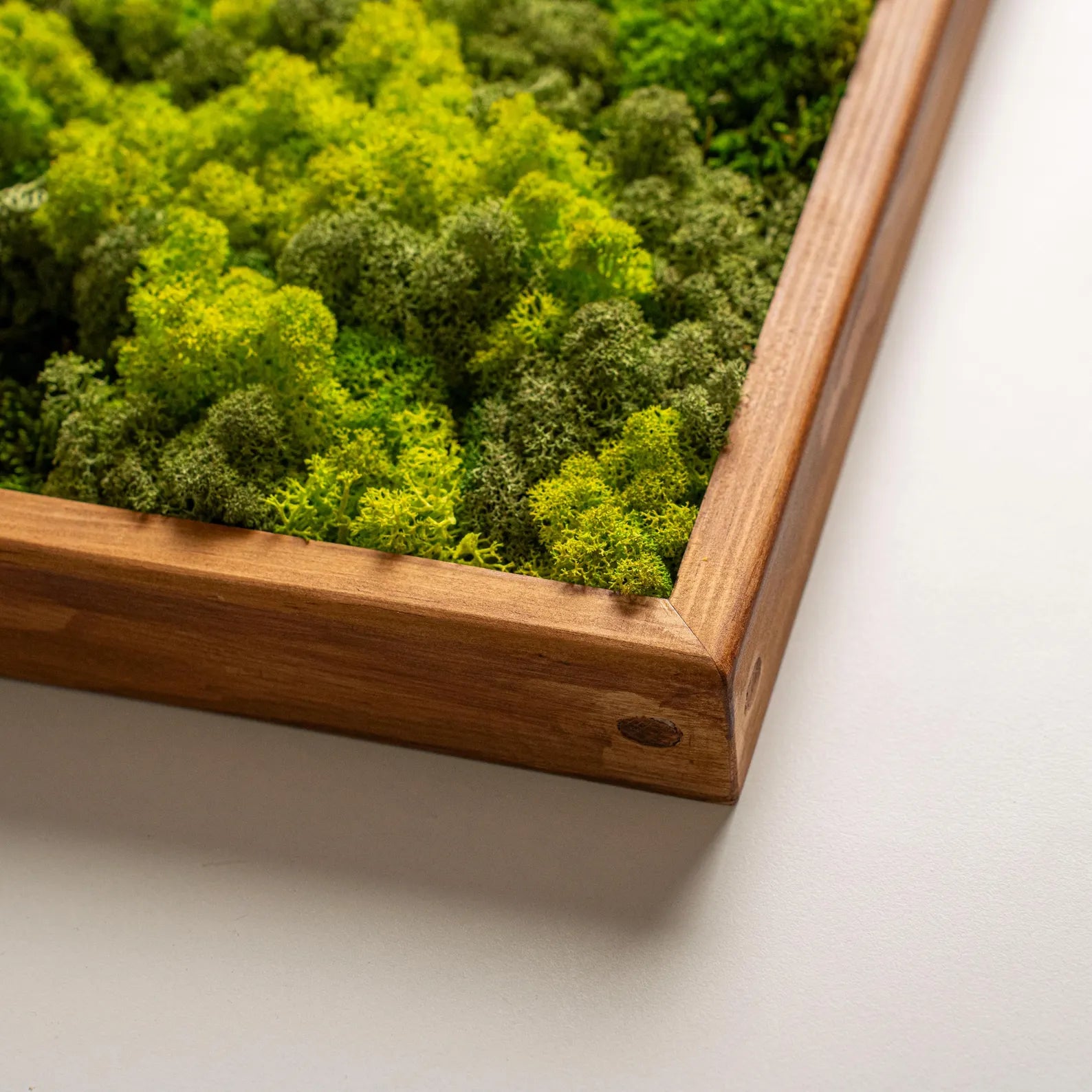 Large Moss Wall Art – Handmade Preserved Green Wall Decor with Wooden Frame