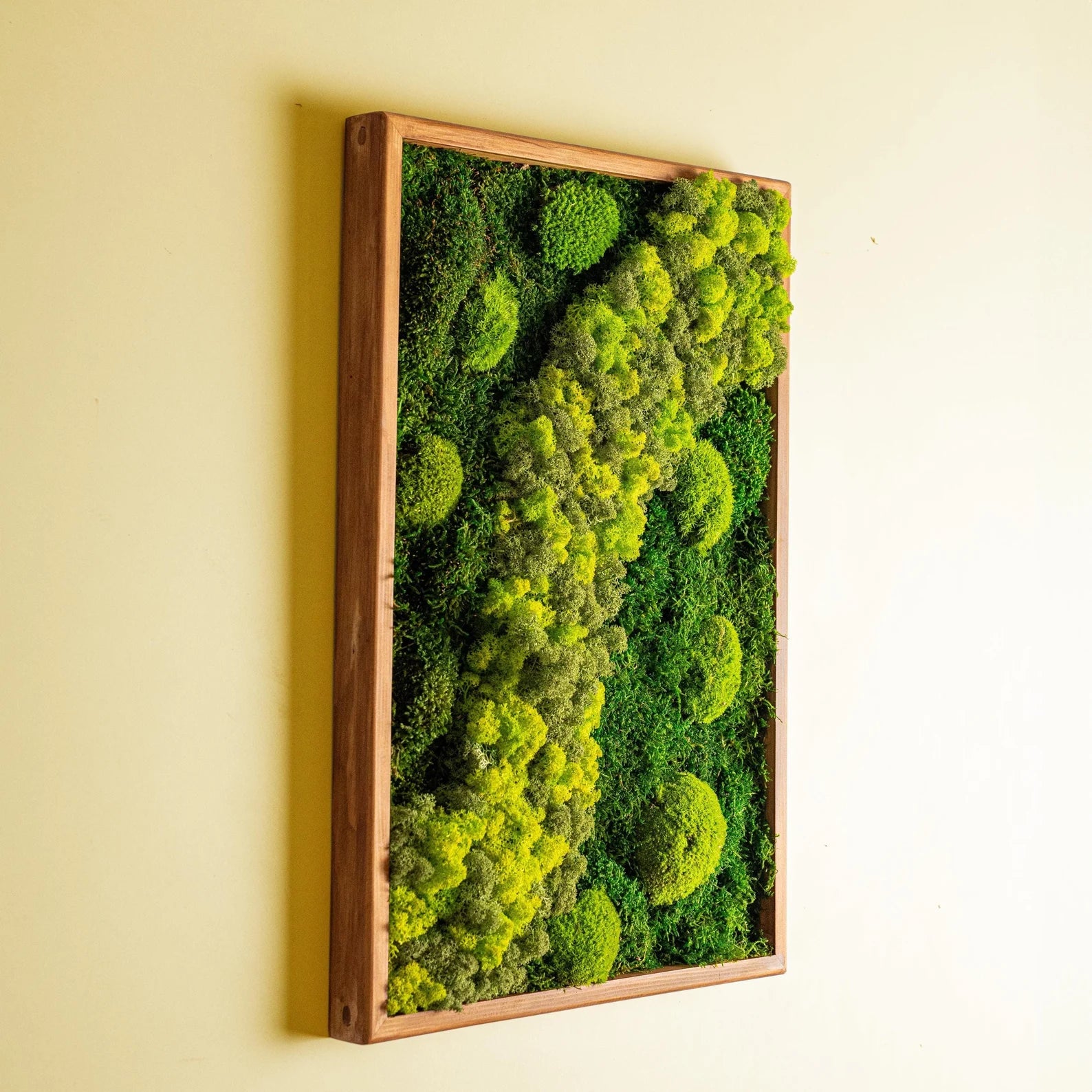 Large Moss Wall Art – Handmade Preserved Green Wall Decor with Wooden Frame