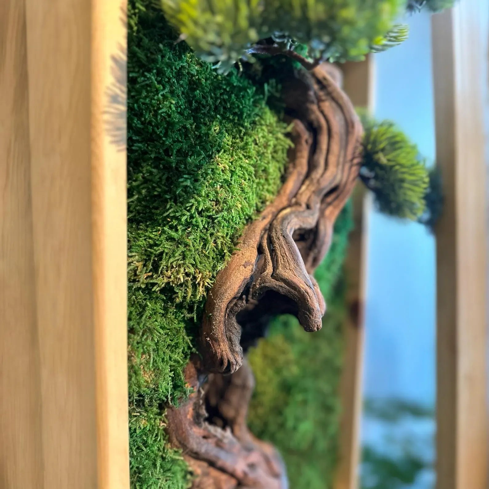 Bonsai Moss Wall Art – Preserved Wooden Frame Decor for Home & Housewarming Gifts