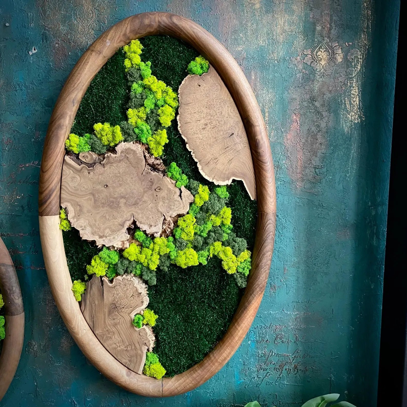 Walnut-Framed Oval Moss Art Set – Olive and Silverberry Wood Wall Decor, Nature-Inspired Home Gift