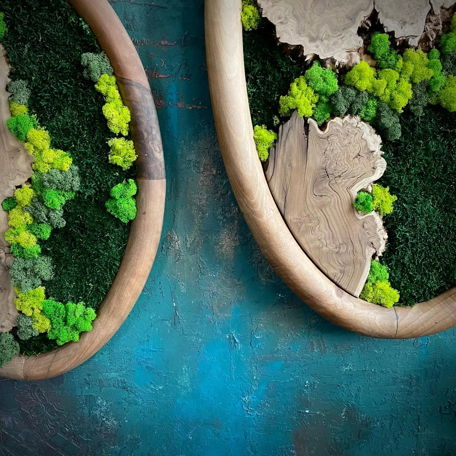 Walnut-Framed Oval Moss Art Set – Olive and Silverberry Wood Wall Decor, Nature-Inspired Home Gift