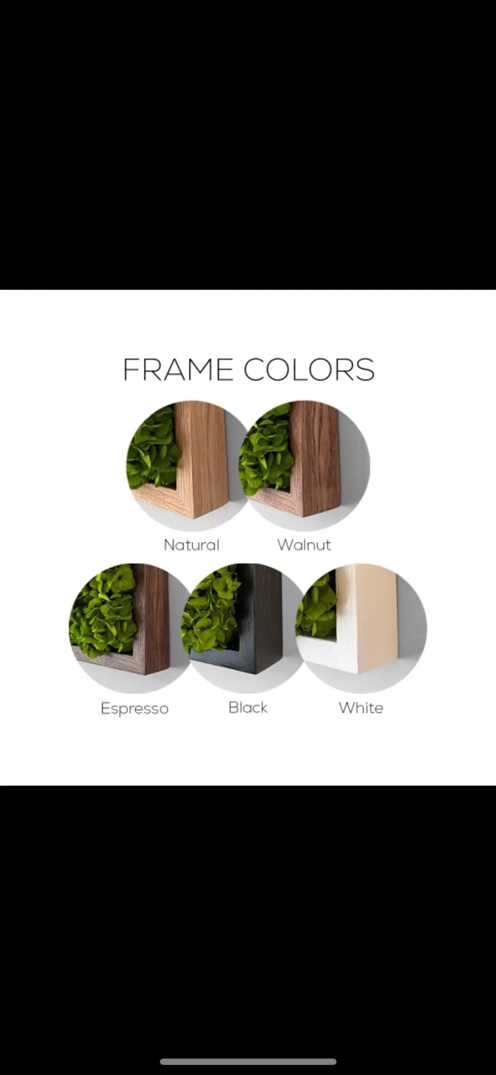 Moss Wall Art – Large Preserved Green Moss Panel, Modern Living Wall Plant Decor for Home or Office