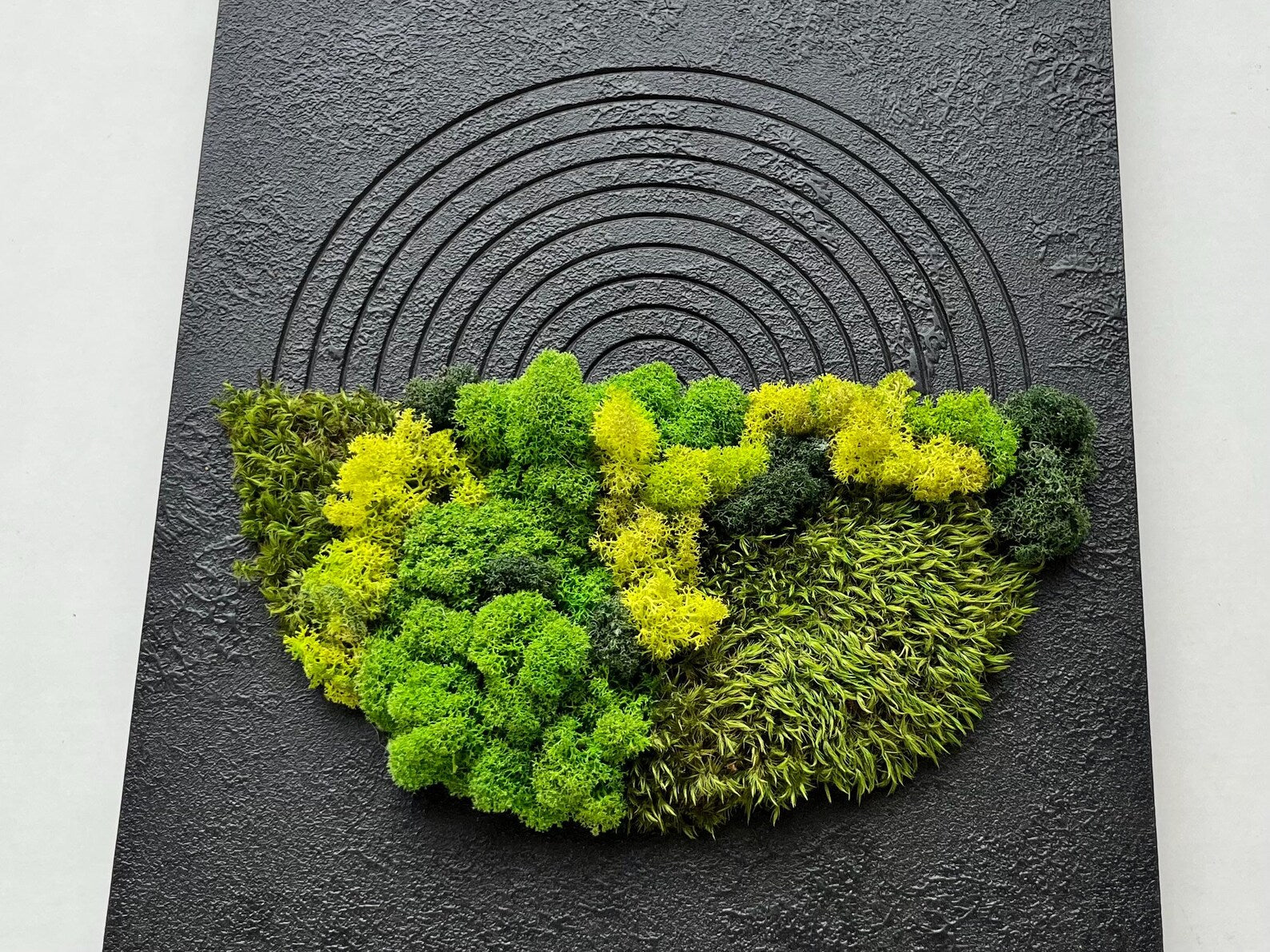 Moss Wall Decor – Handmade Preserved Green Wall Art for Home