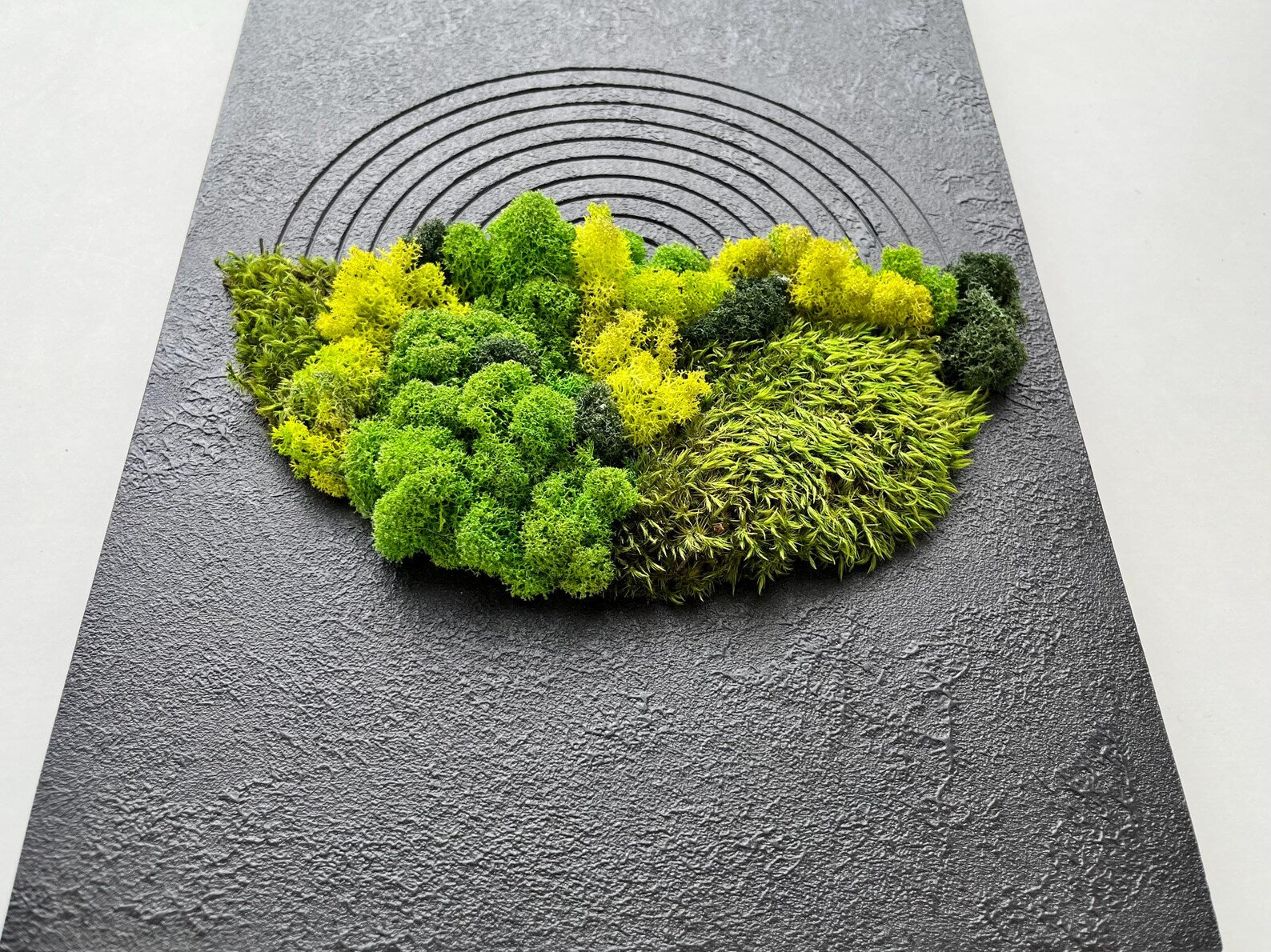 Moss Wall Decor – Handmade Preserved Green Wall Art for Home